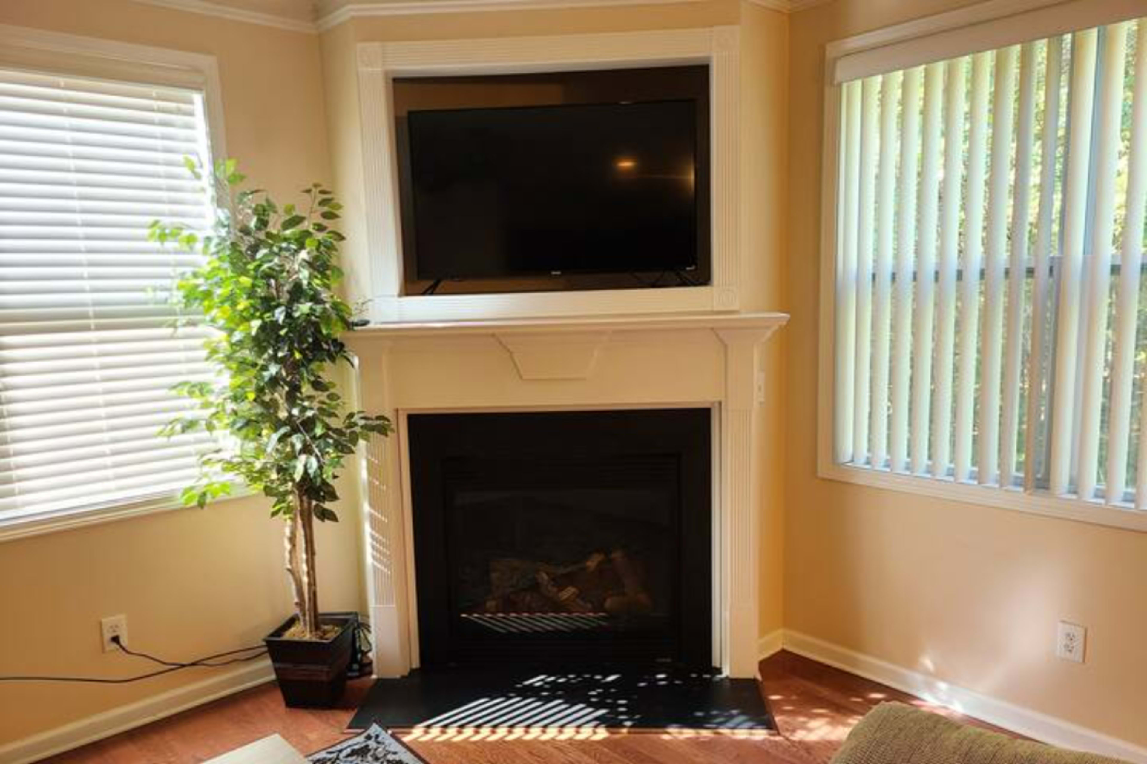The image shows a living room corner featuring a fireplace, a mounted television above it, and a potted plant near a window with blinds.
