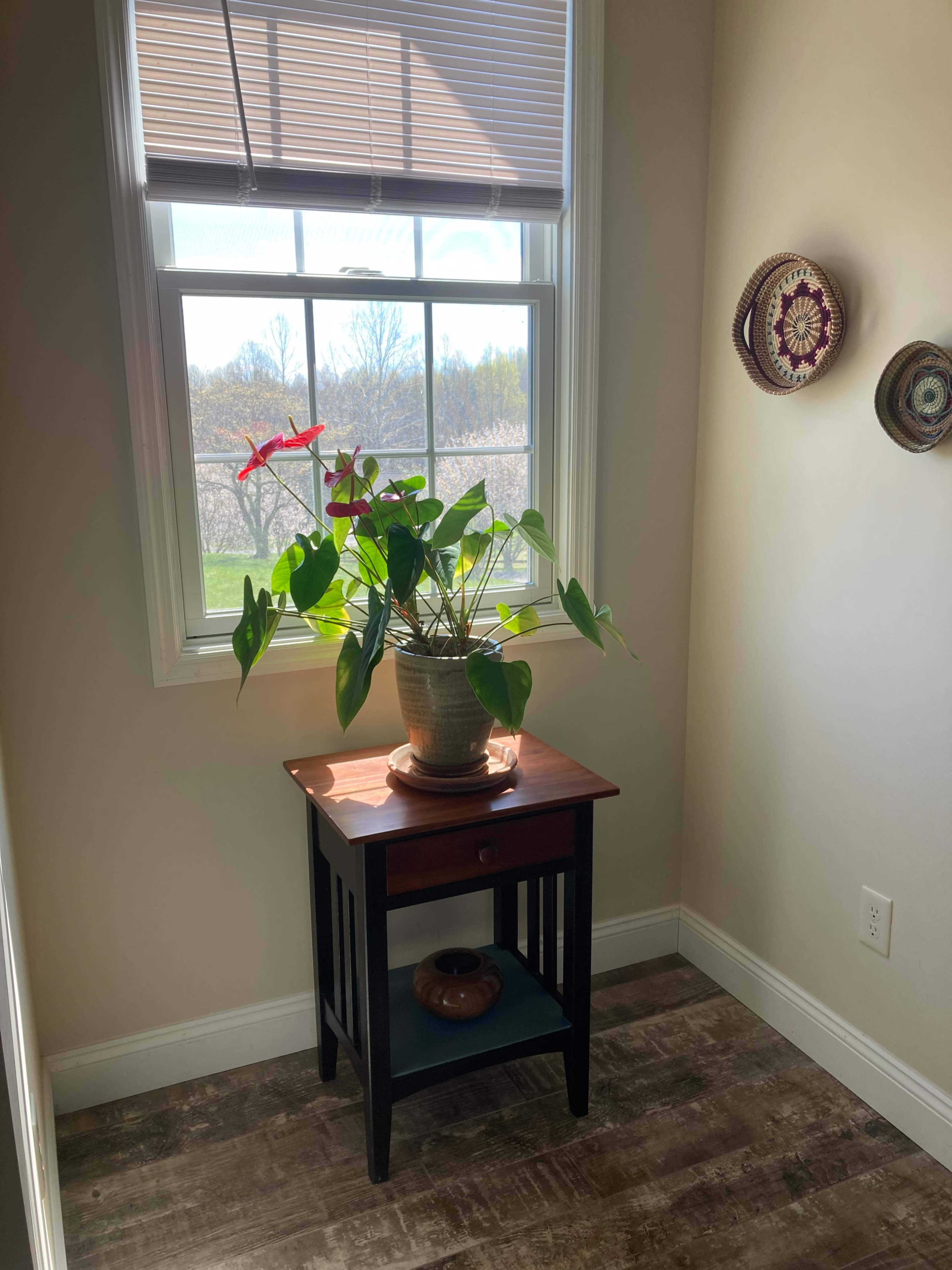 A potted plant with red flowers is placed on a wooden table in a well-lit corner near a window.