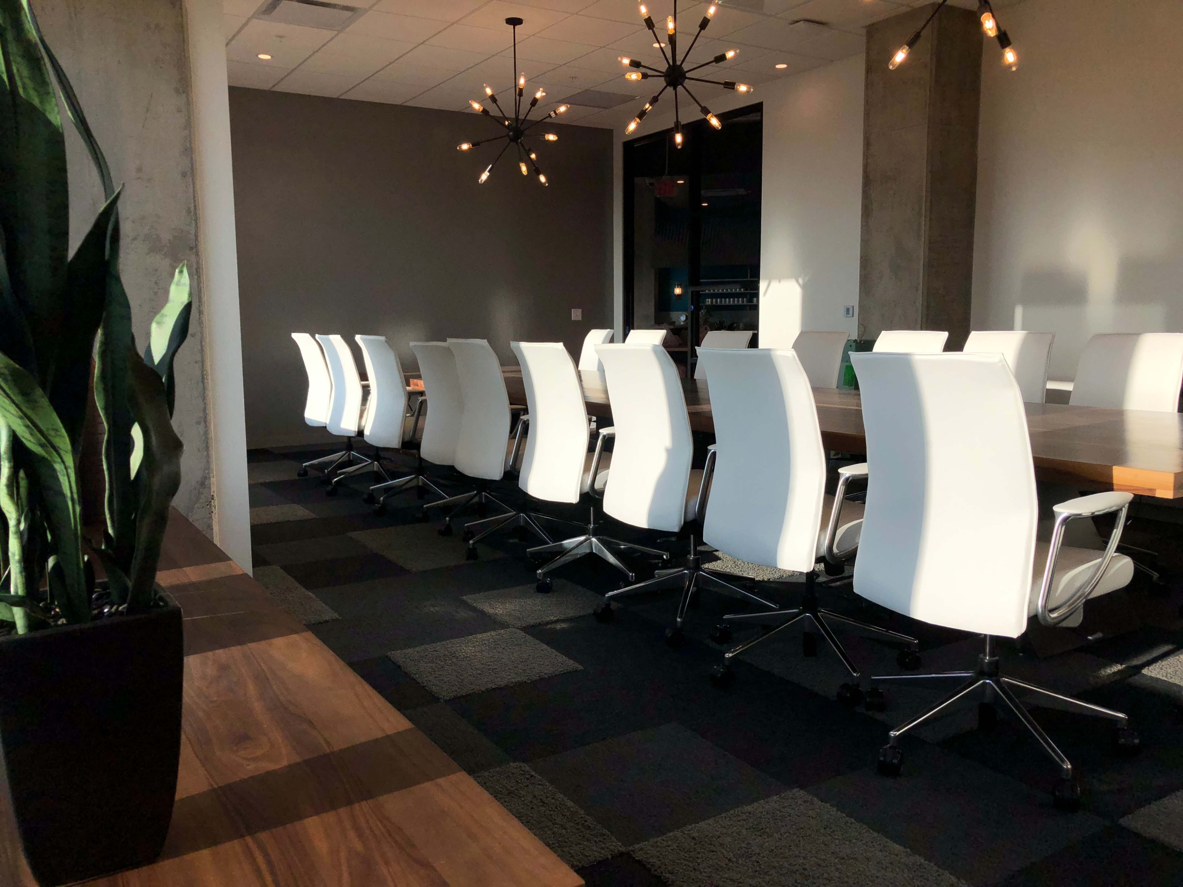 A modern conference room features a long wooden table surrounded by white swivel chairs, with a large potted plant in the foreground and artistic light fixtures above.