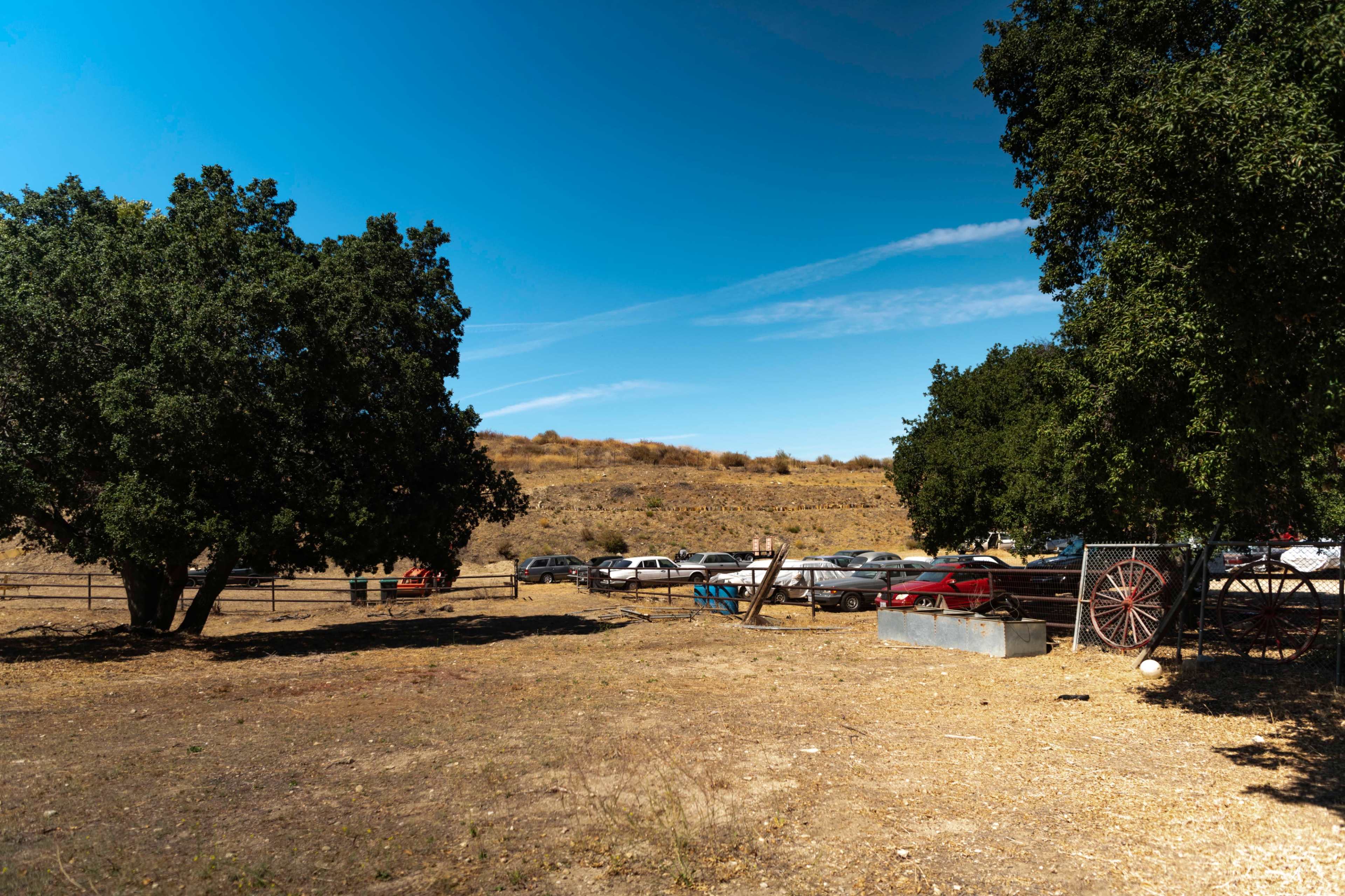 The image shows a dry, open area with several parked cars in the background, framed by a couple of large trees.