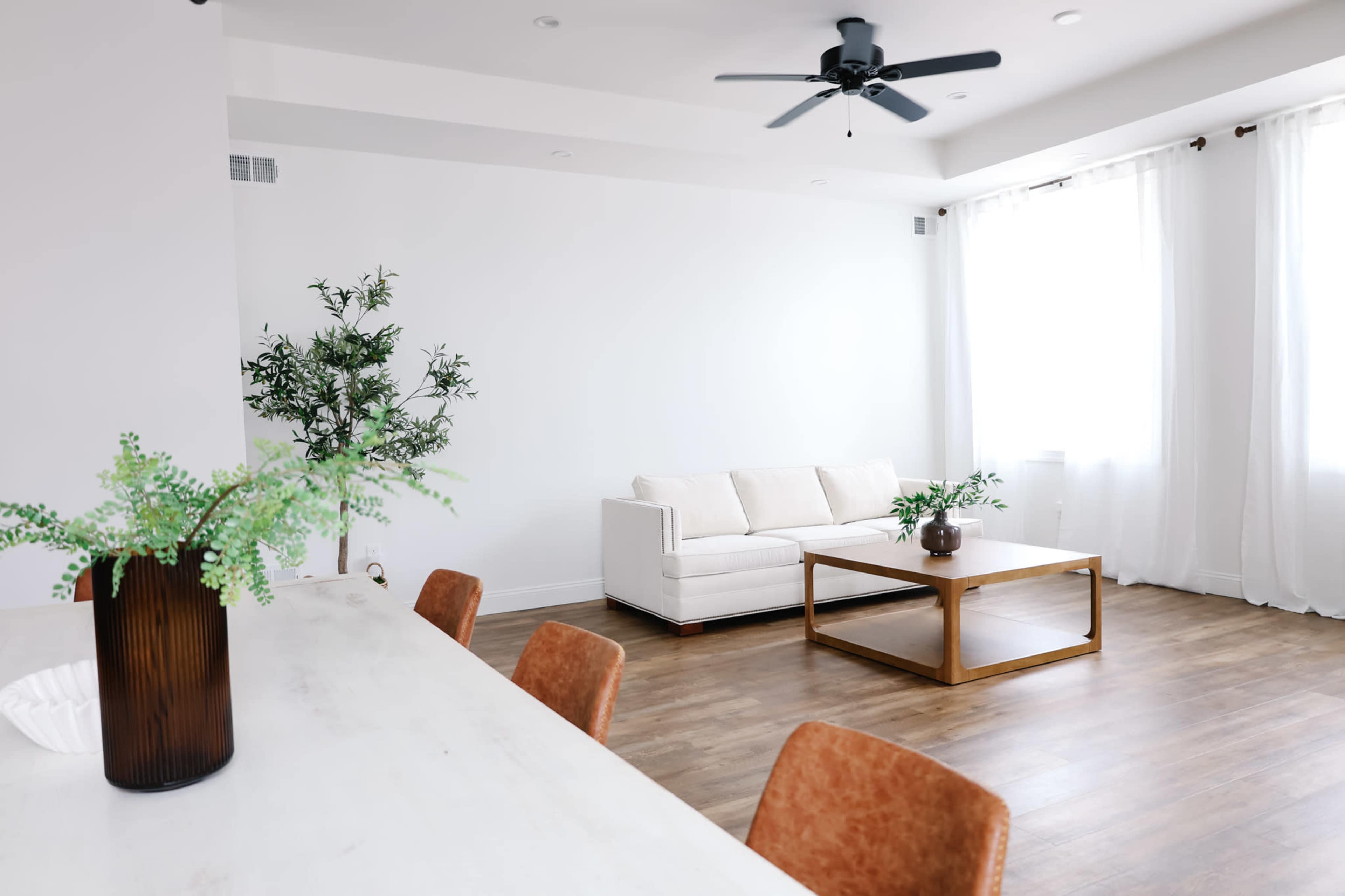 Natural Light Photo Studio and Micro-event and Meeting Space Image in Munhall, Munhall, PA