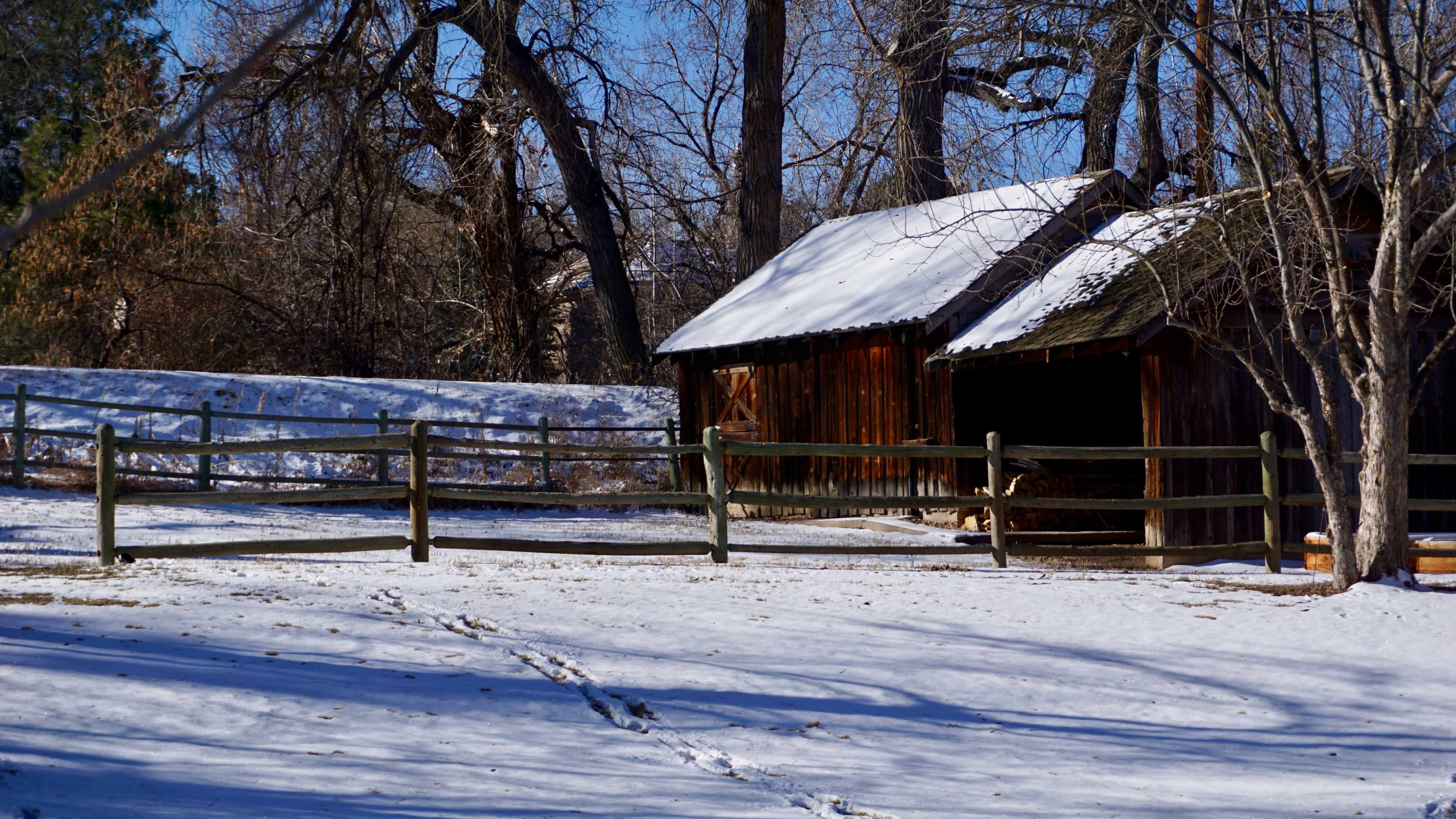 A wooden shed stands beside a snow-covered field, with bare trees surrounding the area.