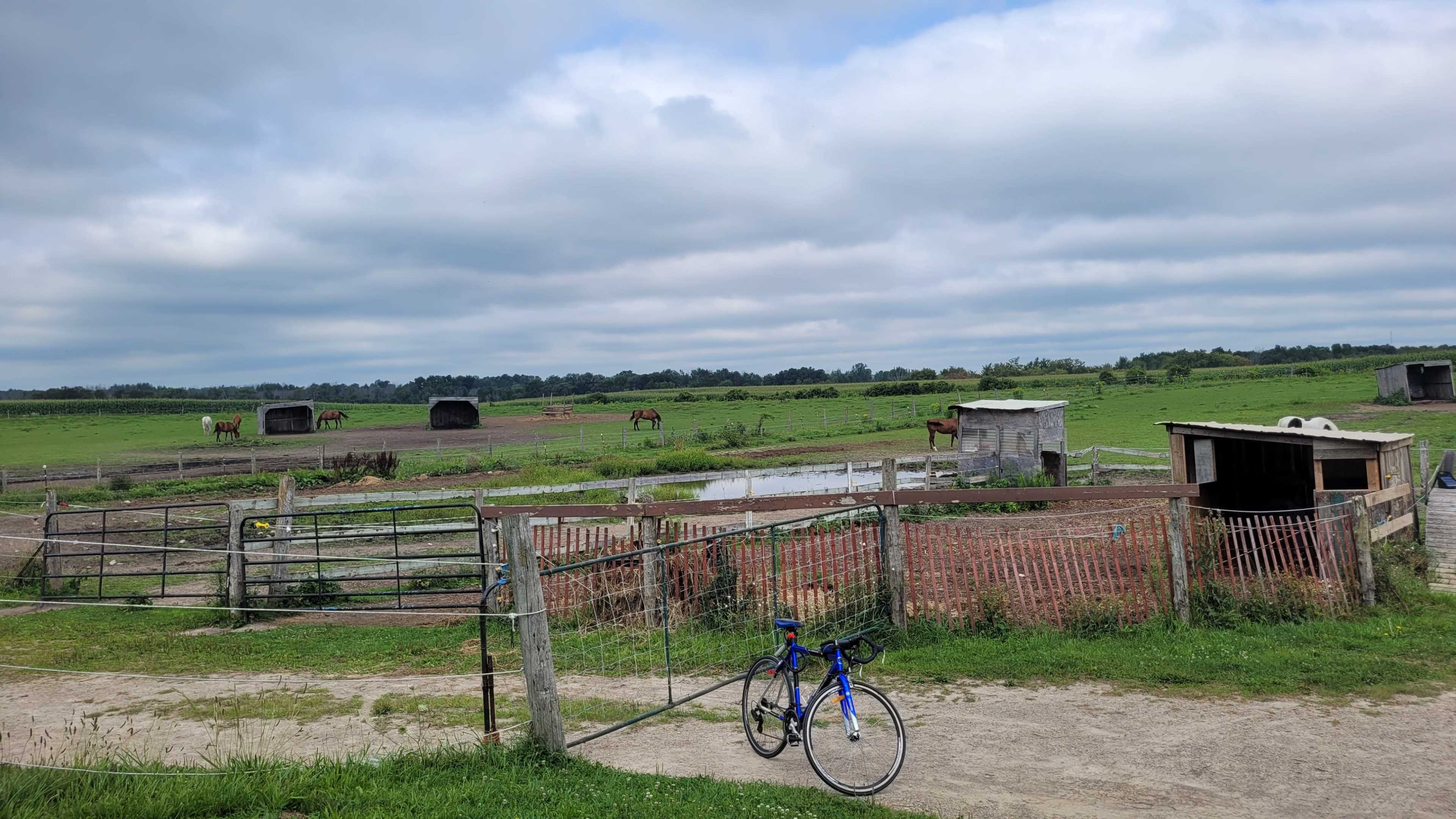 The scene shows a rural landscape with a bicycle parked beside a wooden fence, surrounded by open fields, a small pond, and several horses grazing in the distance.