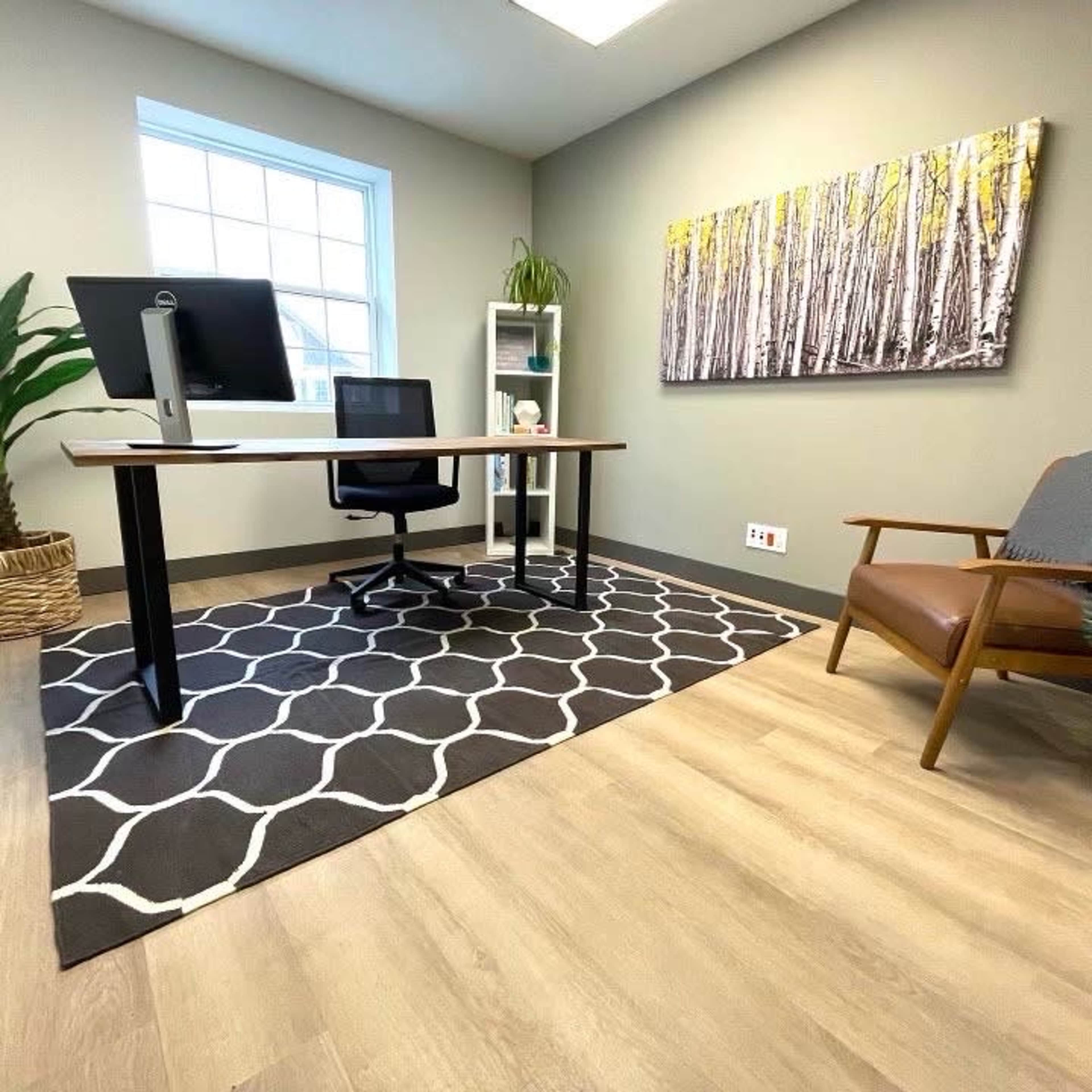 A modern office space featuring a desk with a computer, a black chair, a bookshelf, a plant, and a patterned rug on a wooden floor.
