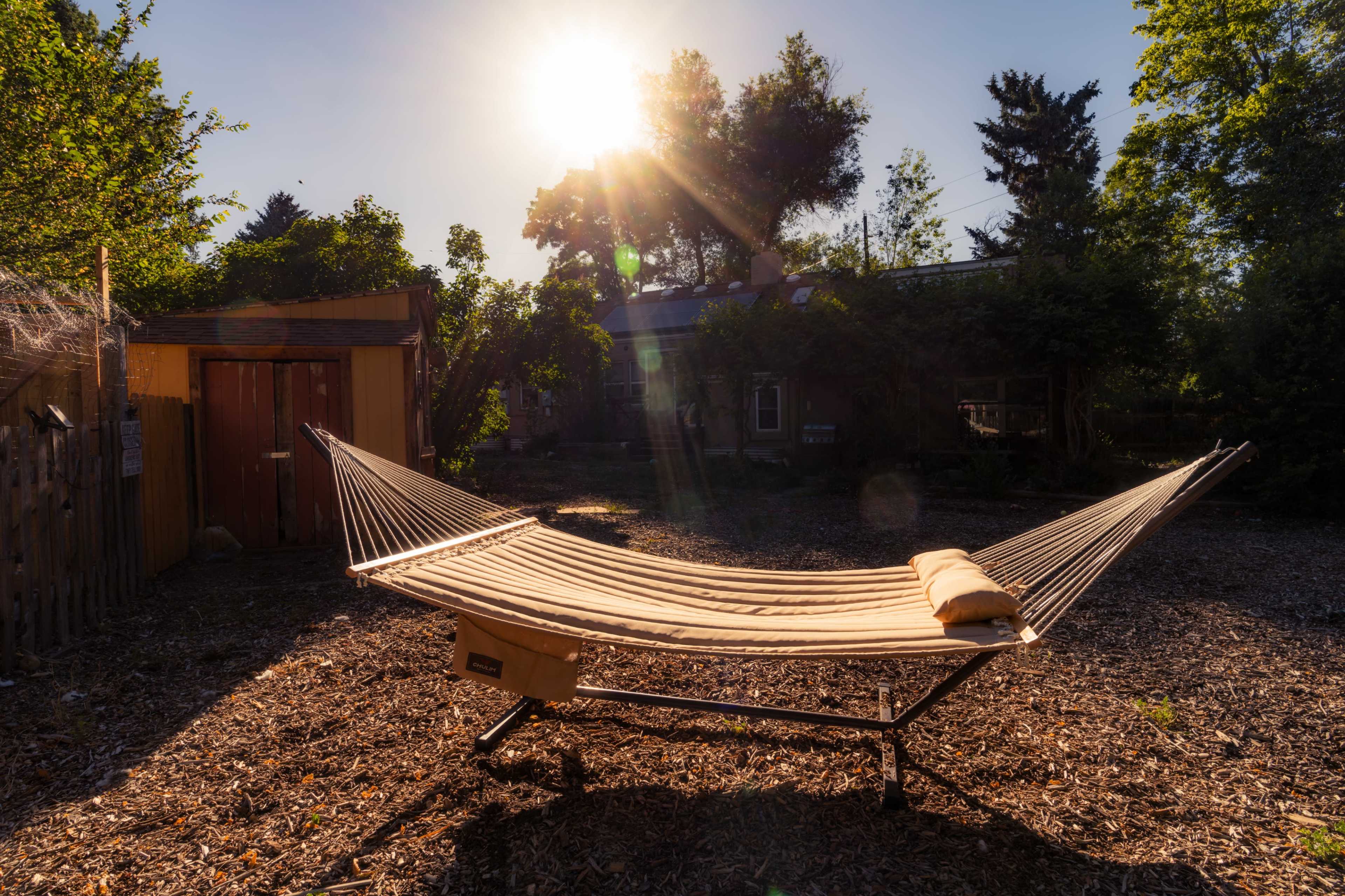 A hammock is positioned in a sunlit backyard surrounded by trees and a small shed.