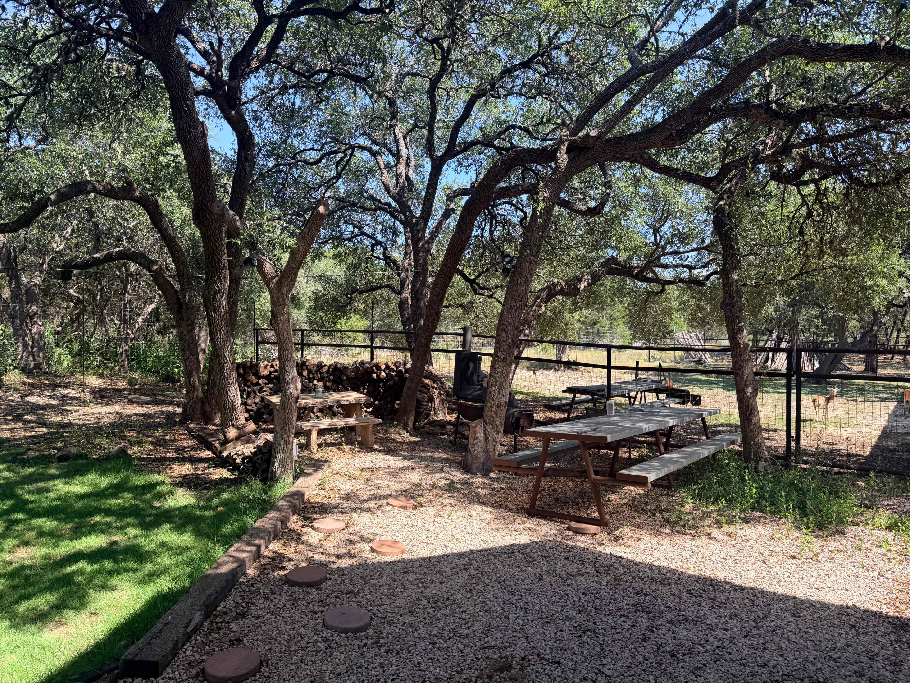 The image shows a shaded outdoor area with picnic tables under trees, gravel paths, and stacked firewood in a fenced space.