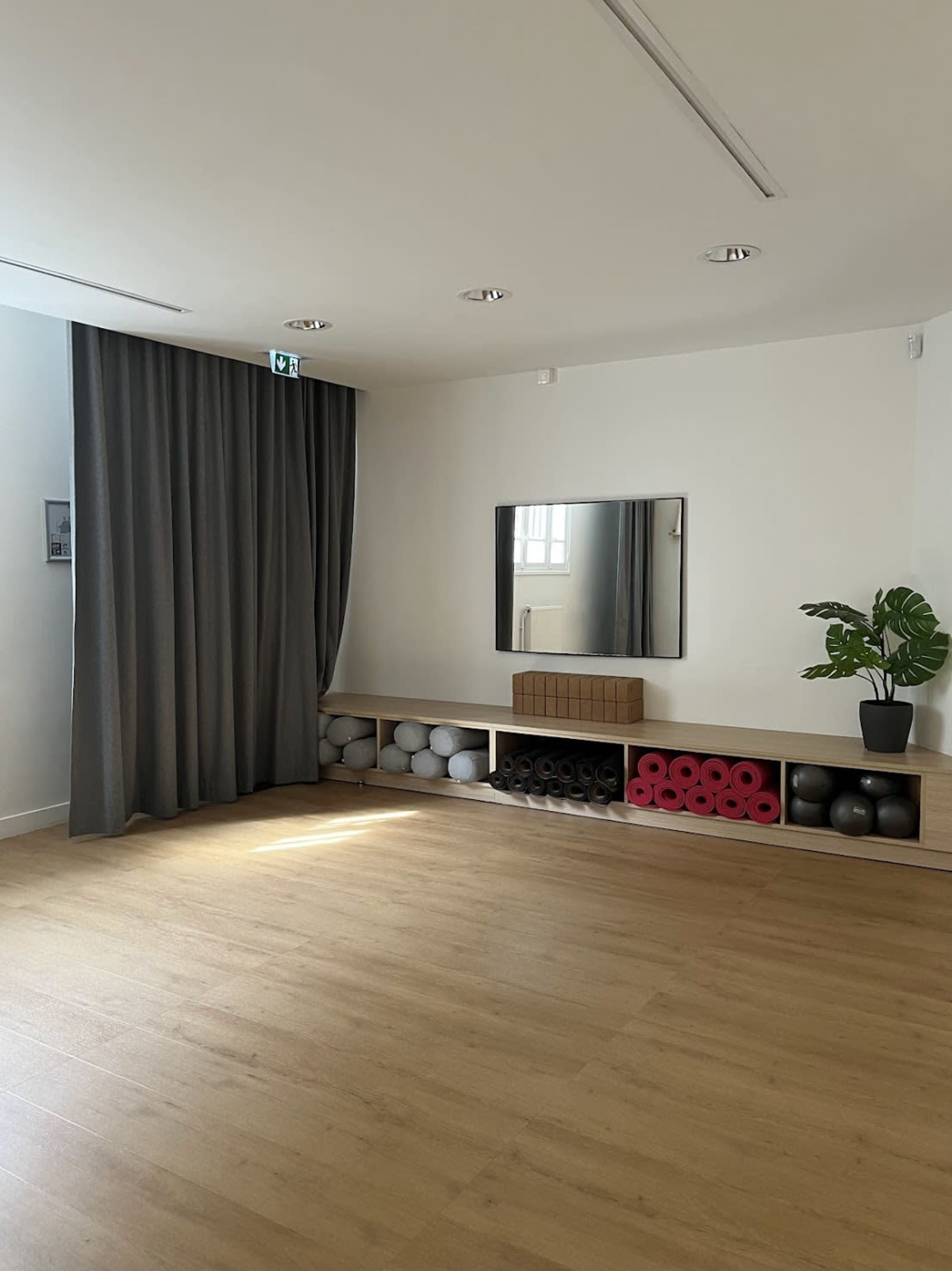 The image shows a bright, minimalist exercise room with wooden flooring, a large mirror, fitness equipment neatly stored on a shelf, and a potted plant in one corner.