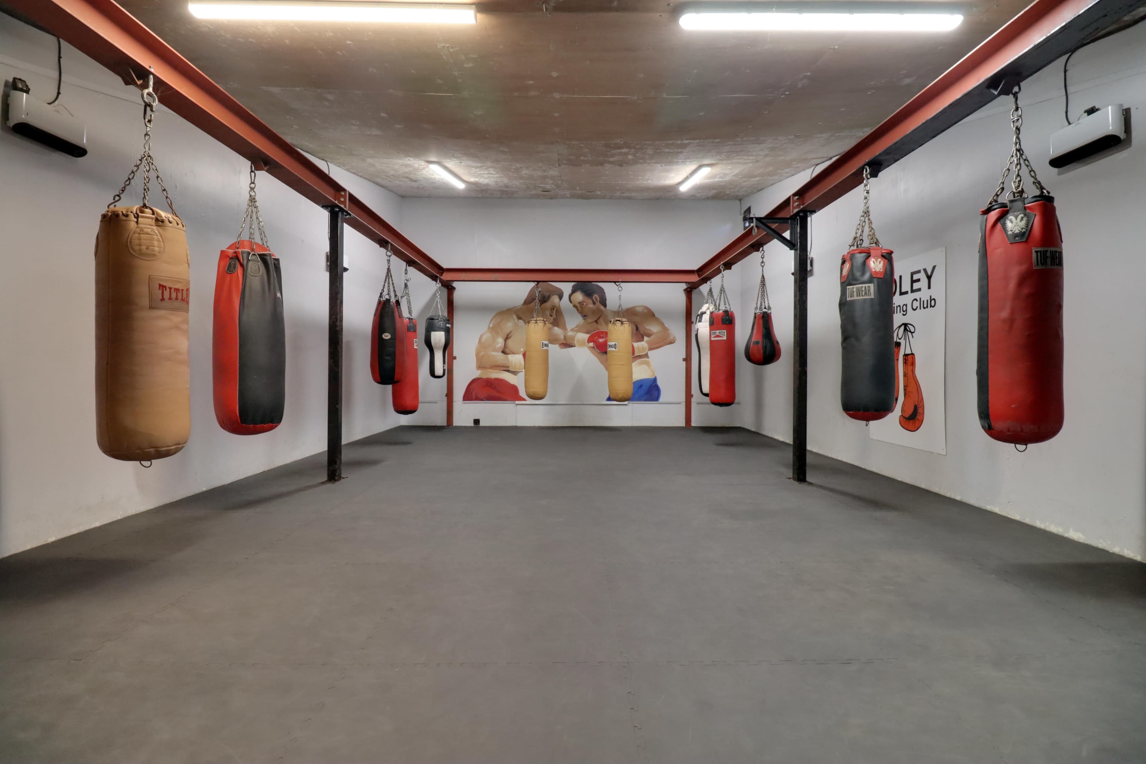 The image shows a spacious boxing gym with multiple hanging punching bags and a mural of boxers on the wall.
