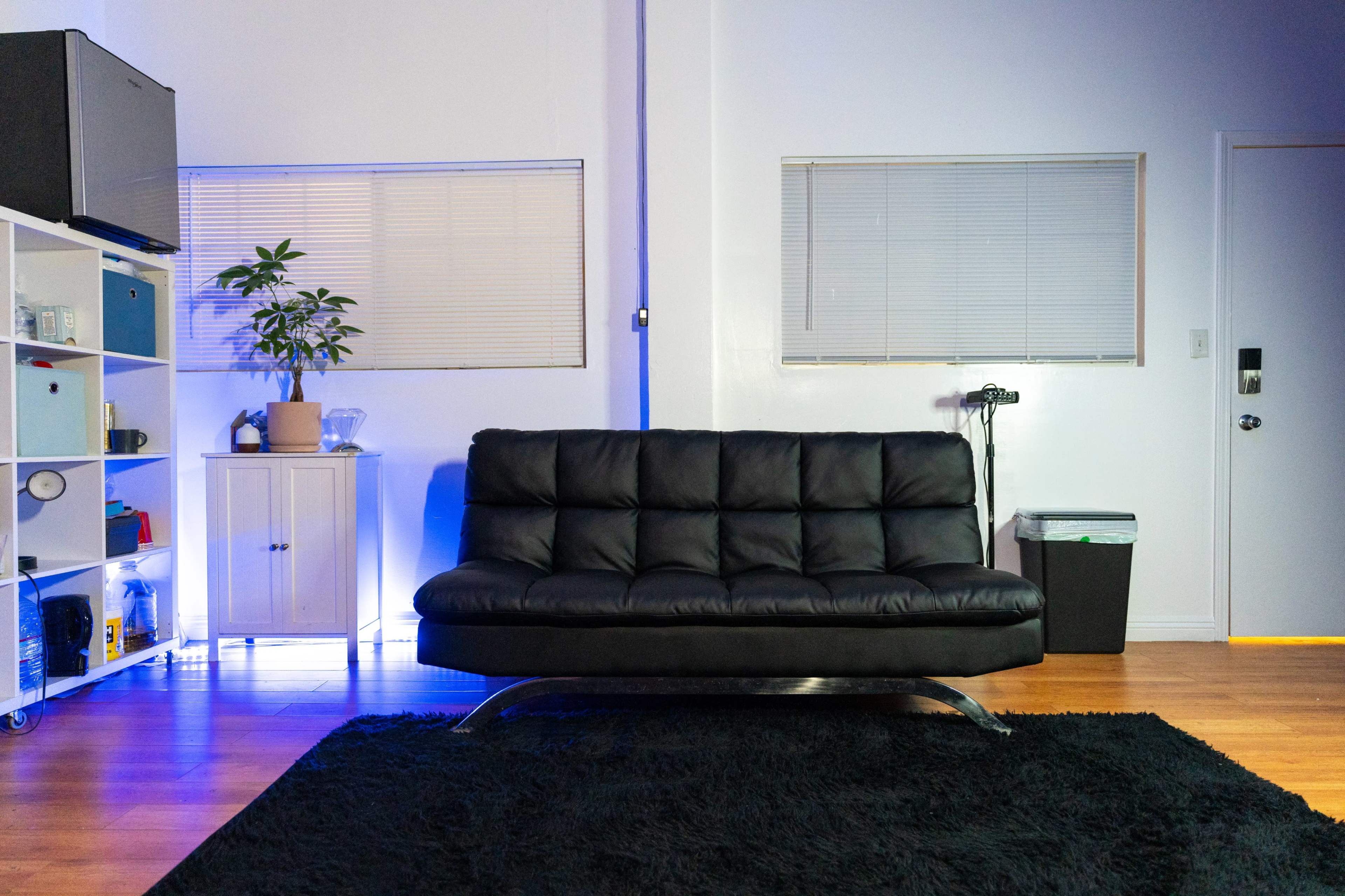 A black sectional sofa sits on a dark rug in a well-lit room with a plant, a bookshelf, and a door.