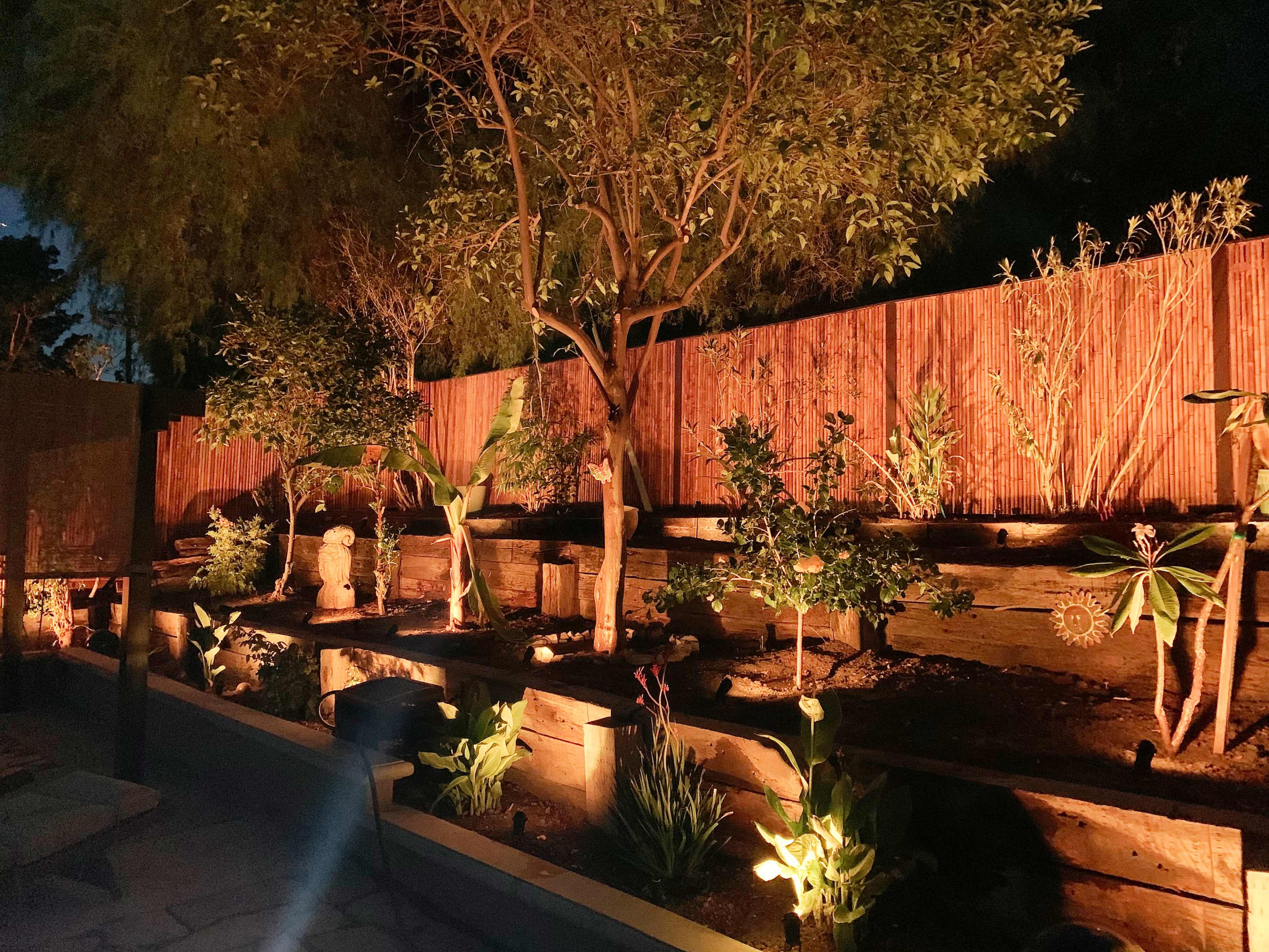 The image shows a well-lit garden with trees and plants arranged in wooden planter boxes along a wooden fence at night.