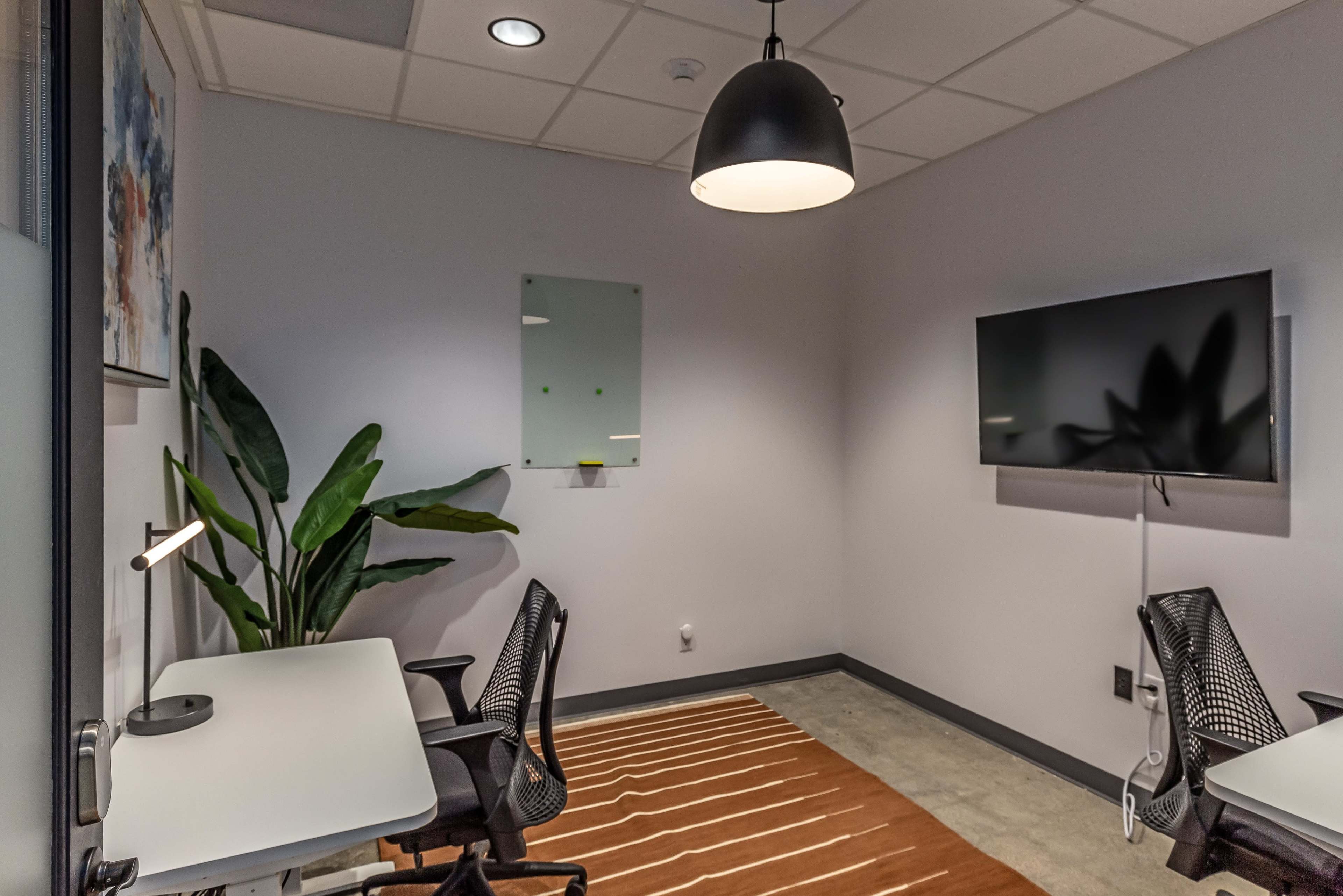 A small meeting room features two office chairs, a table, a wall-mounted TV, a mirror, and a large potted plant.