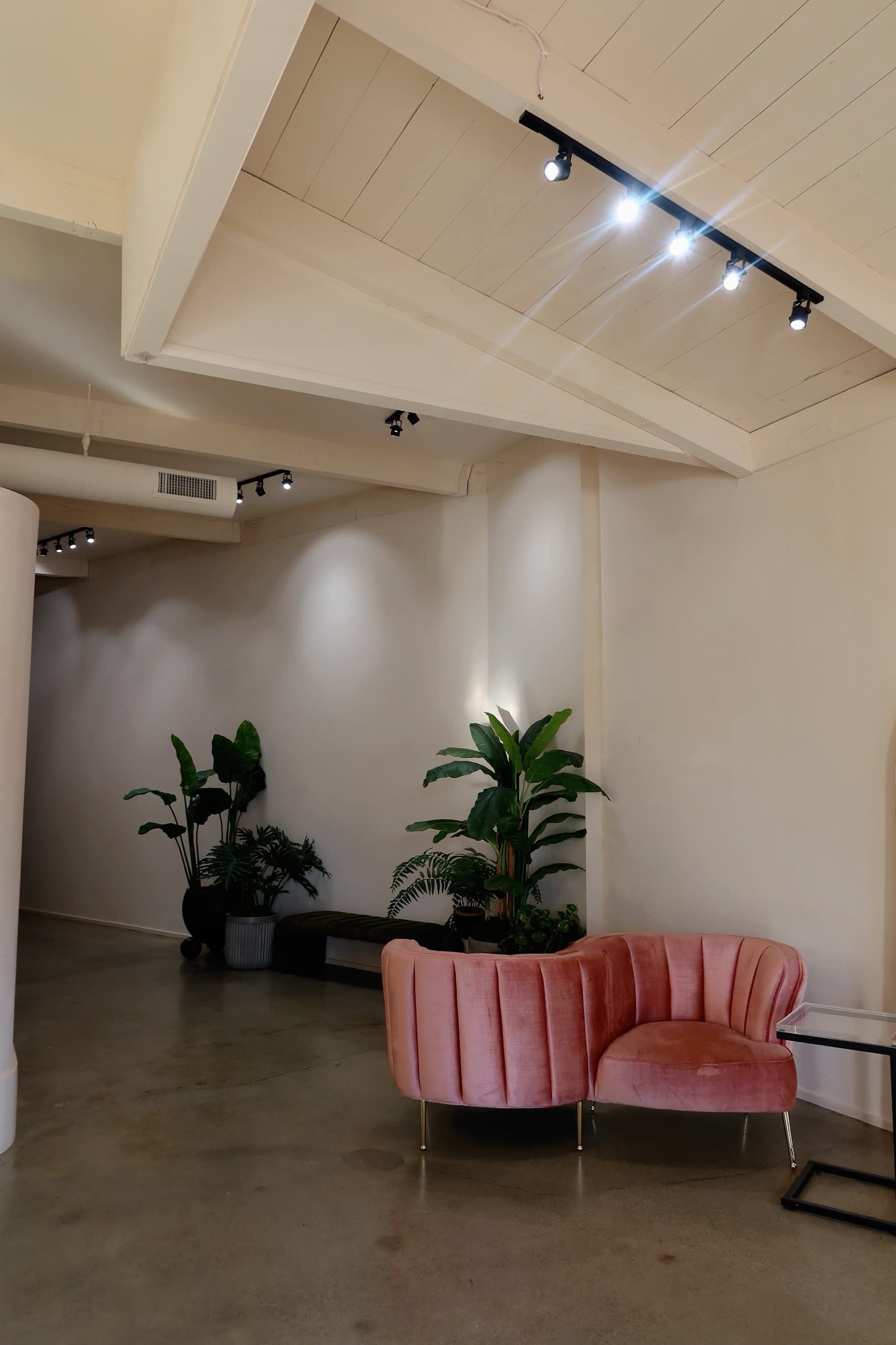 The image shows a spacious interior with a pink velvet sofa and various potted plants along the walls, illuminated by track lighting.