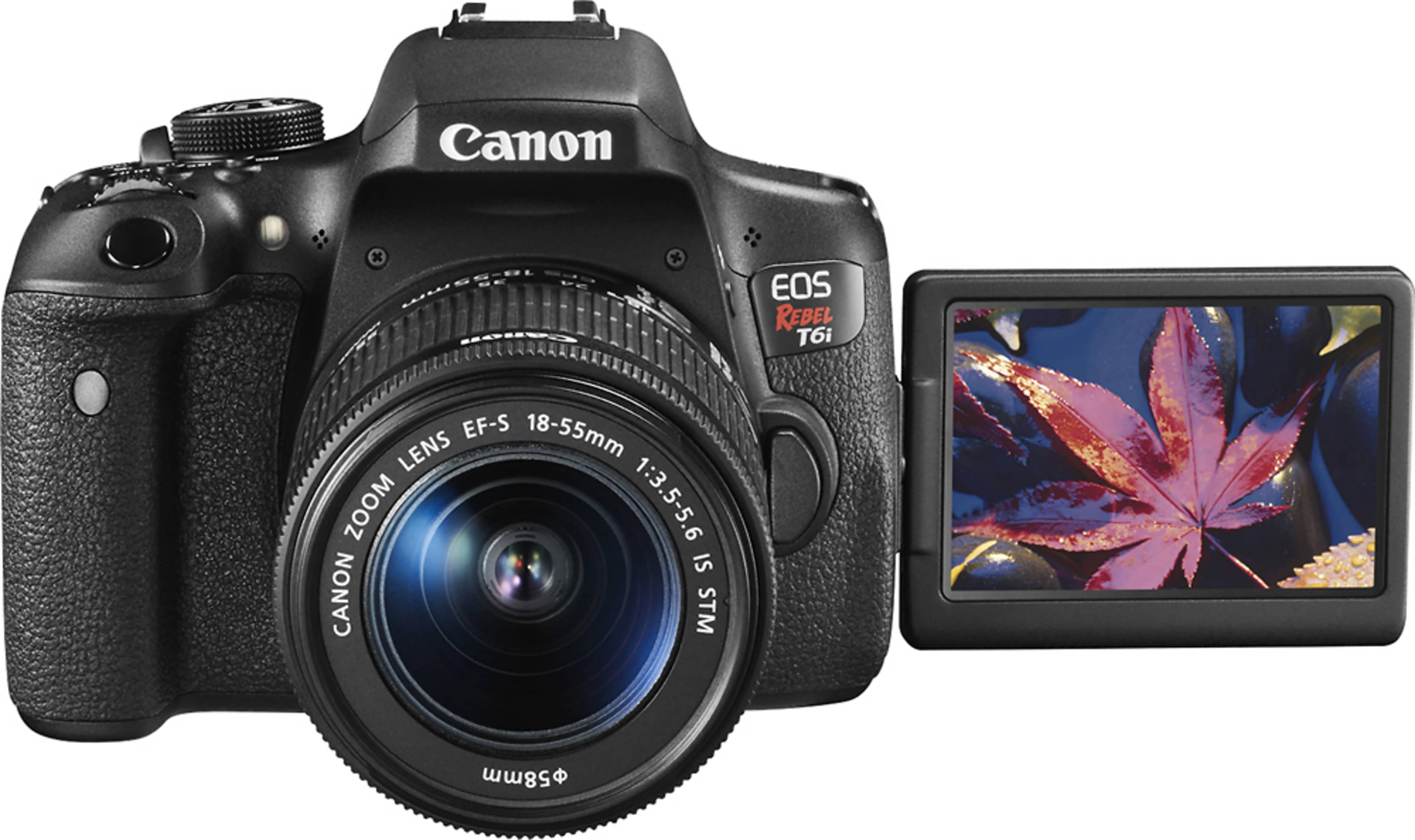The image shows a Canon EOS Rebel T6i camera with an 18-55mm lens and a separate LCD display featuring a leaf.