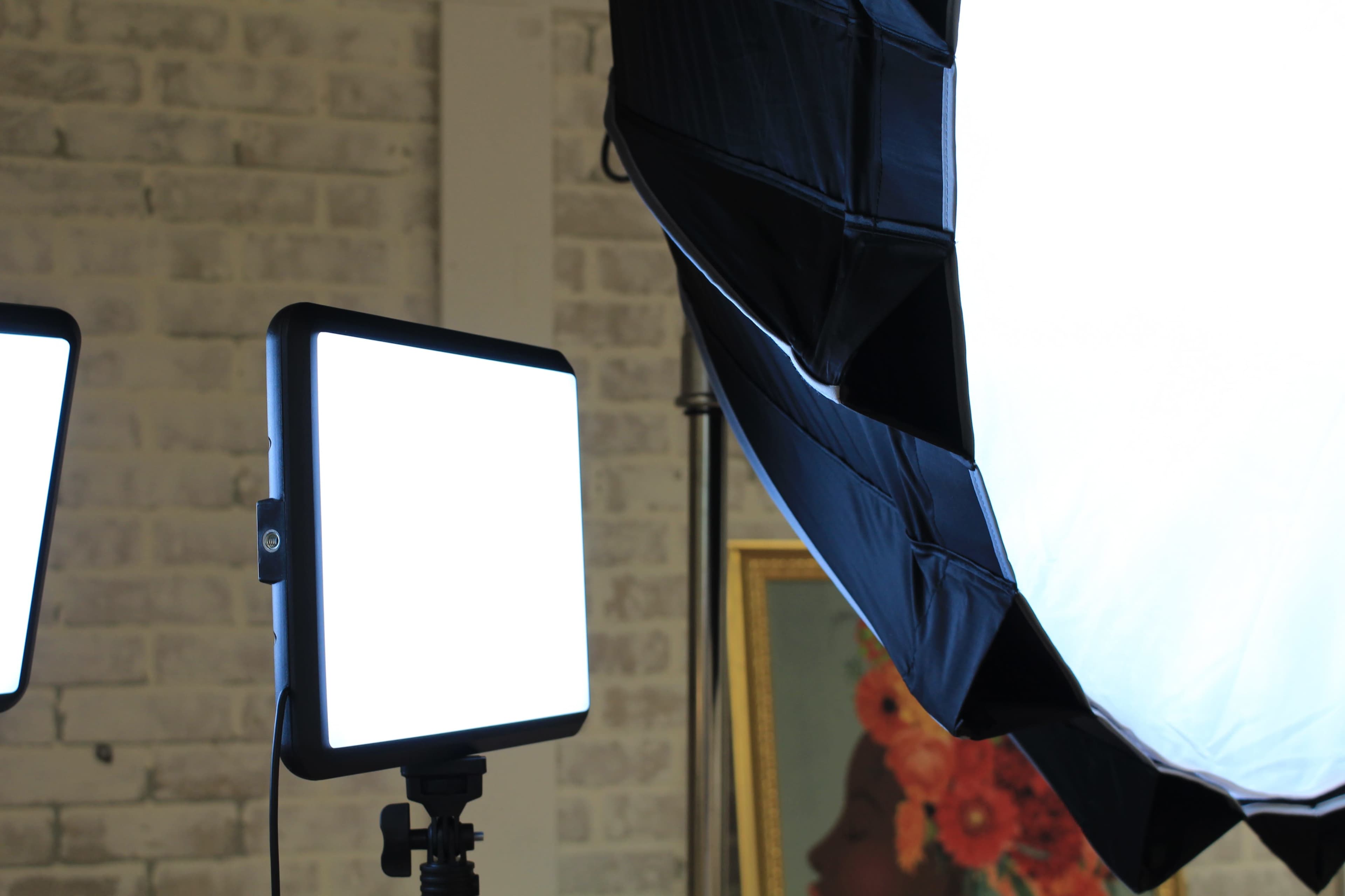 A photography setup with two softbox lights and a backdrop featuring a floral portrait.