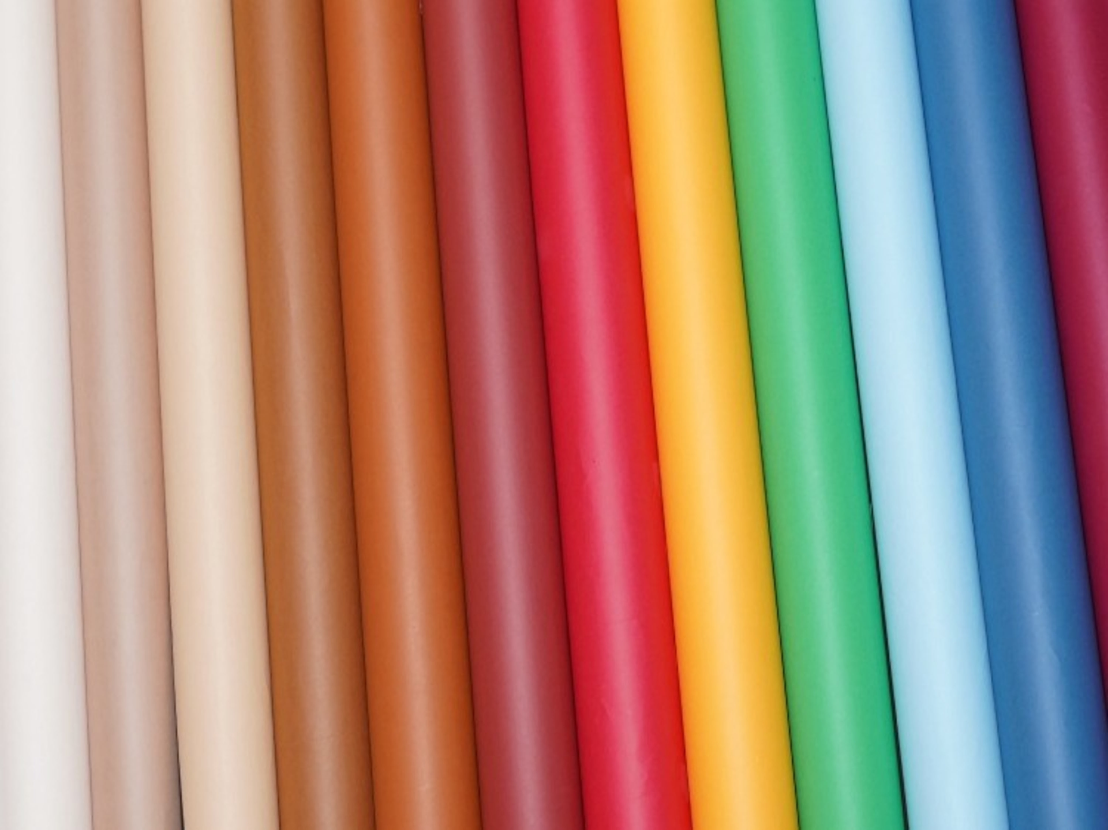 Seamless Backdrop - Currently In-Stock