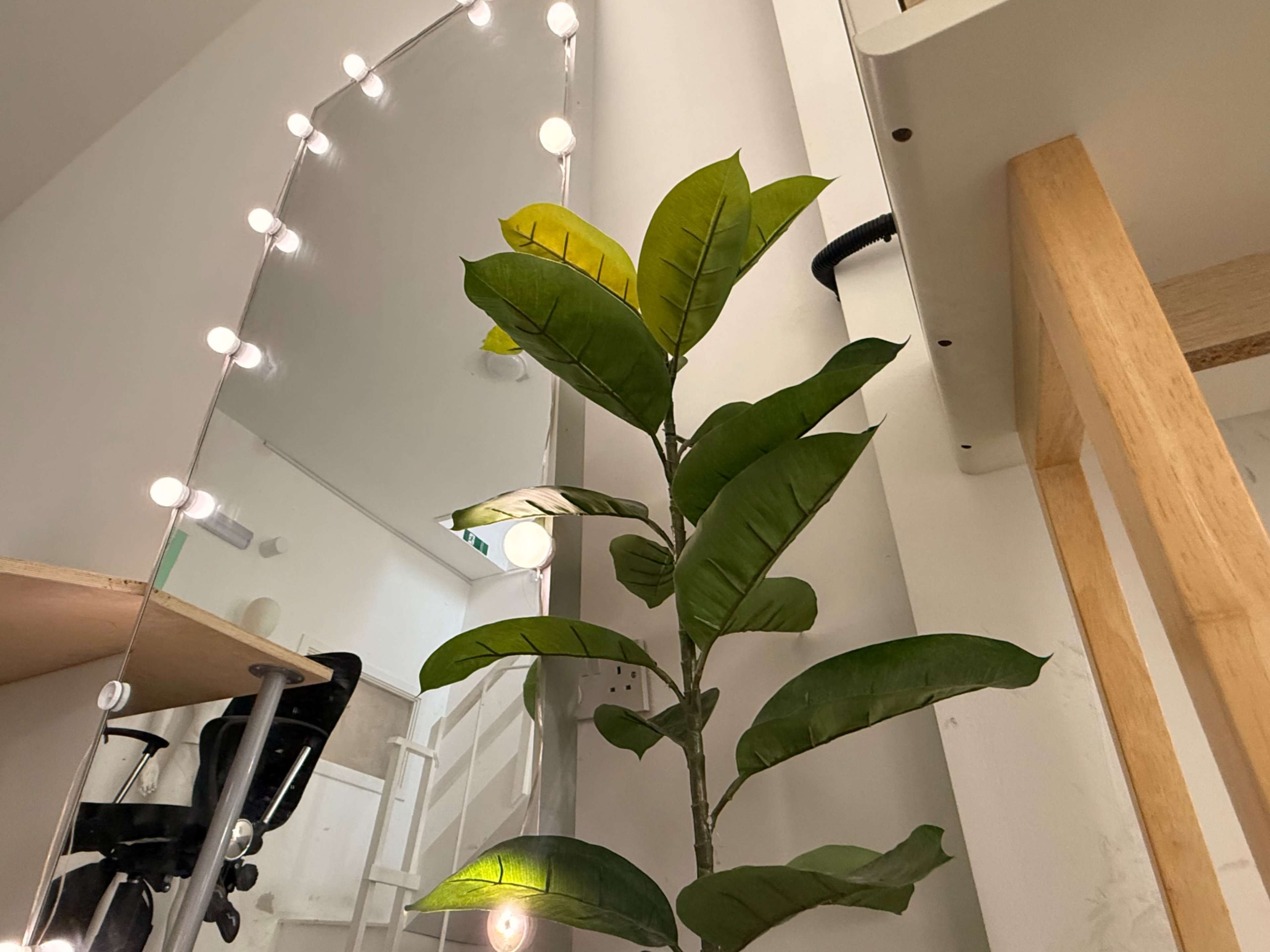 A mirror with lights reflects a small desk and a plant with large leaves in a bright room.