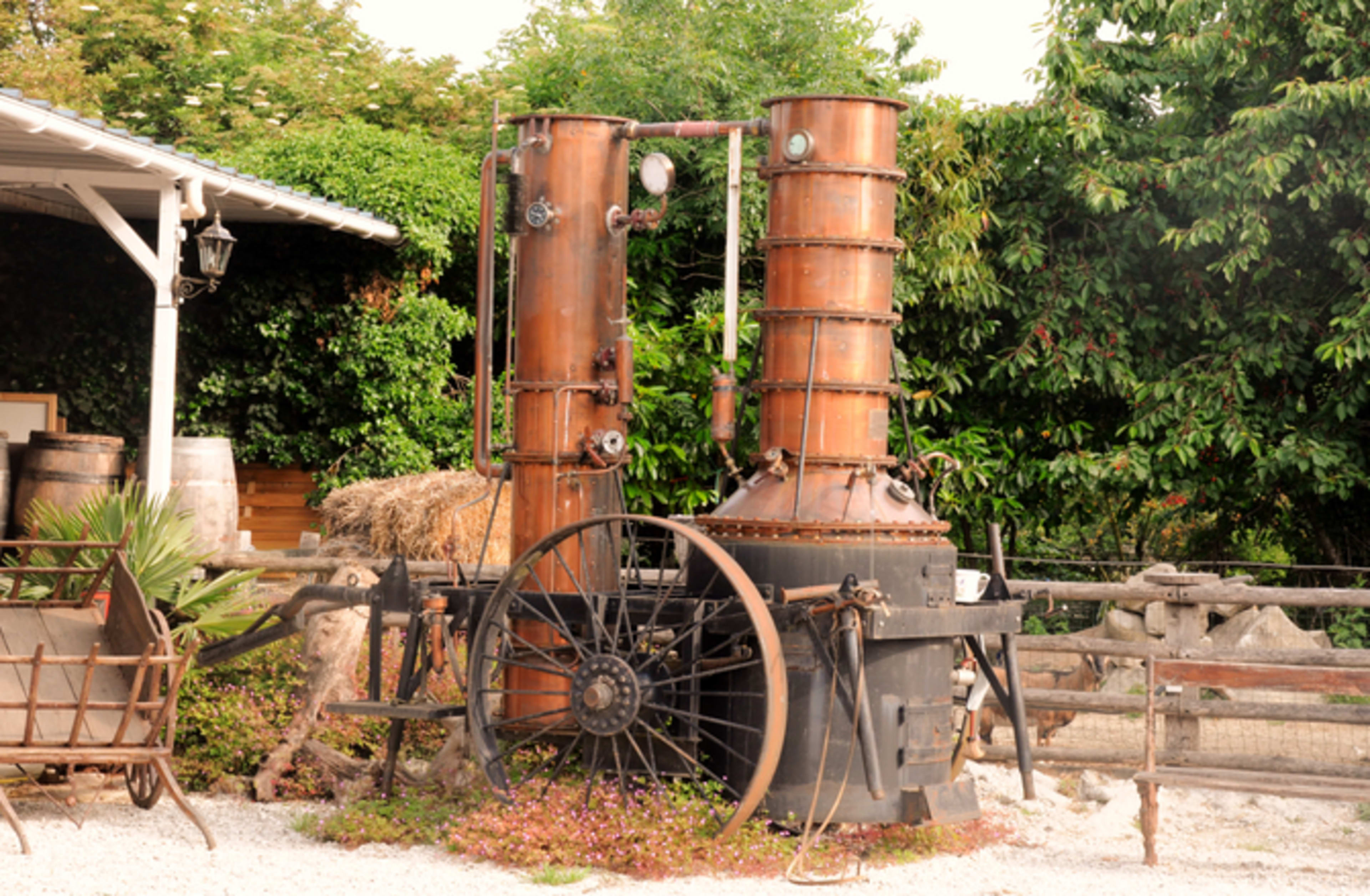 A vintage distillation apparatus with brass and copper tubes set against a lush green background.