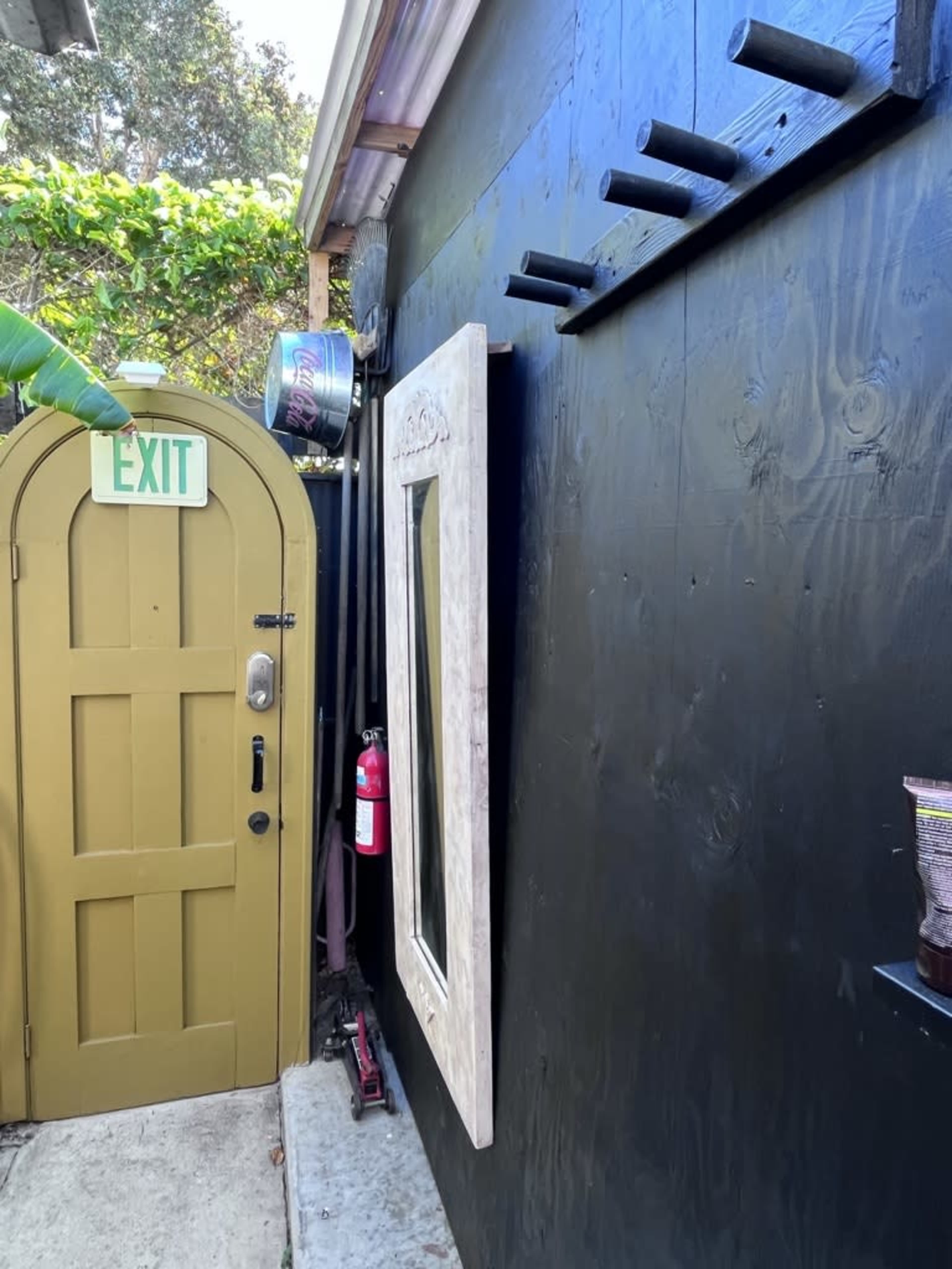 A door labeled "EXIT" and a large framed mirror are mounted on a black wall beside visible greenery.