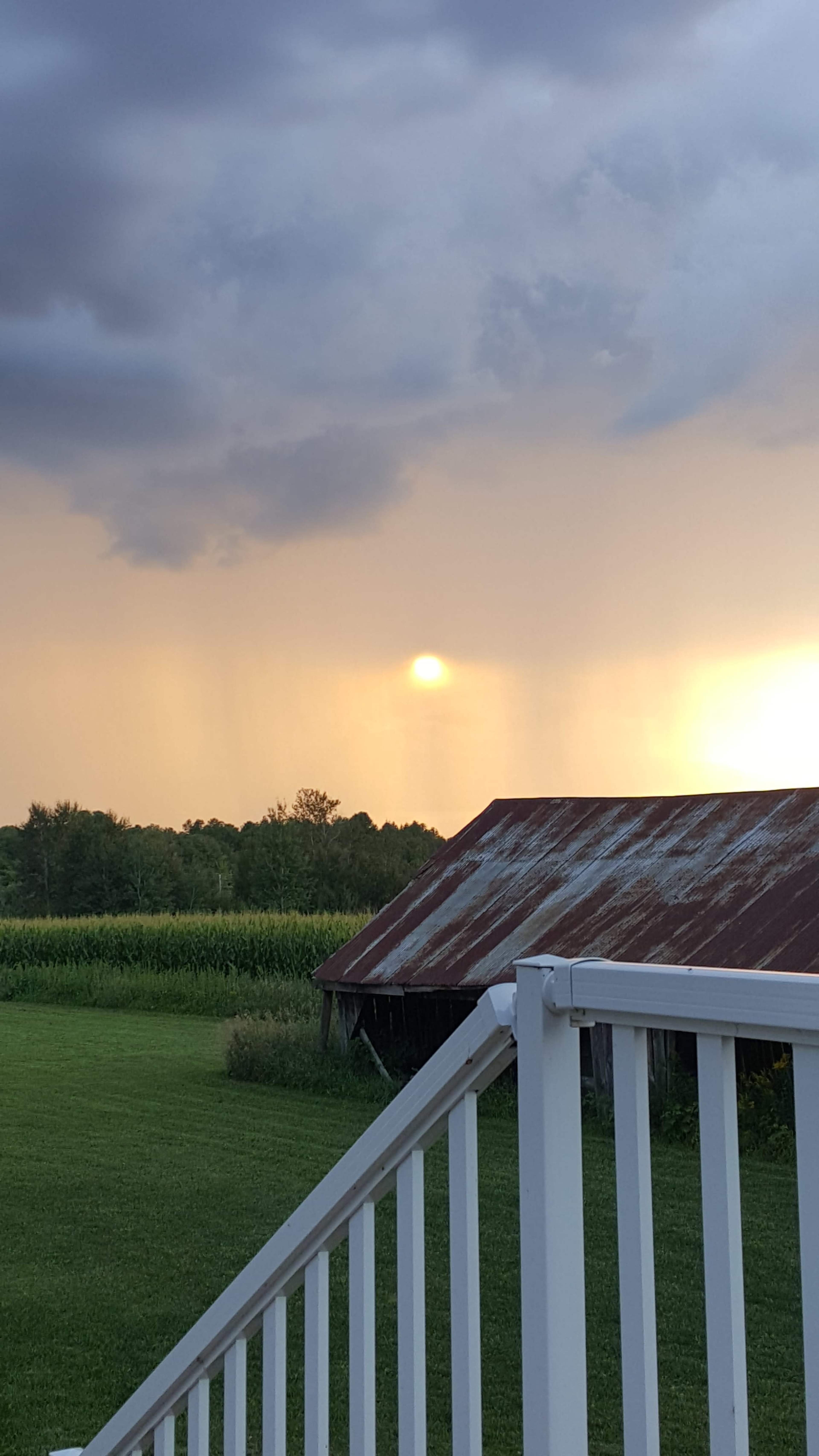 A sunset behind a cornfield, with a barn featuring a rusted roof in the foreground.