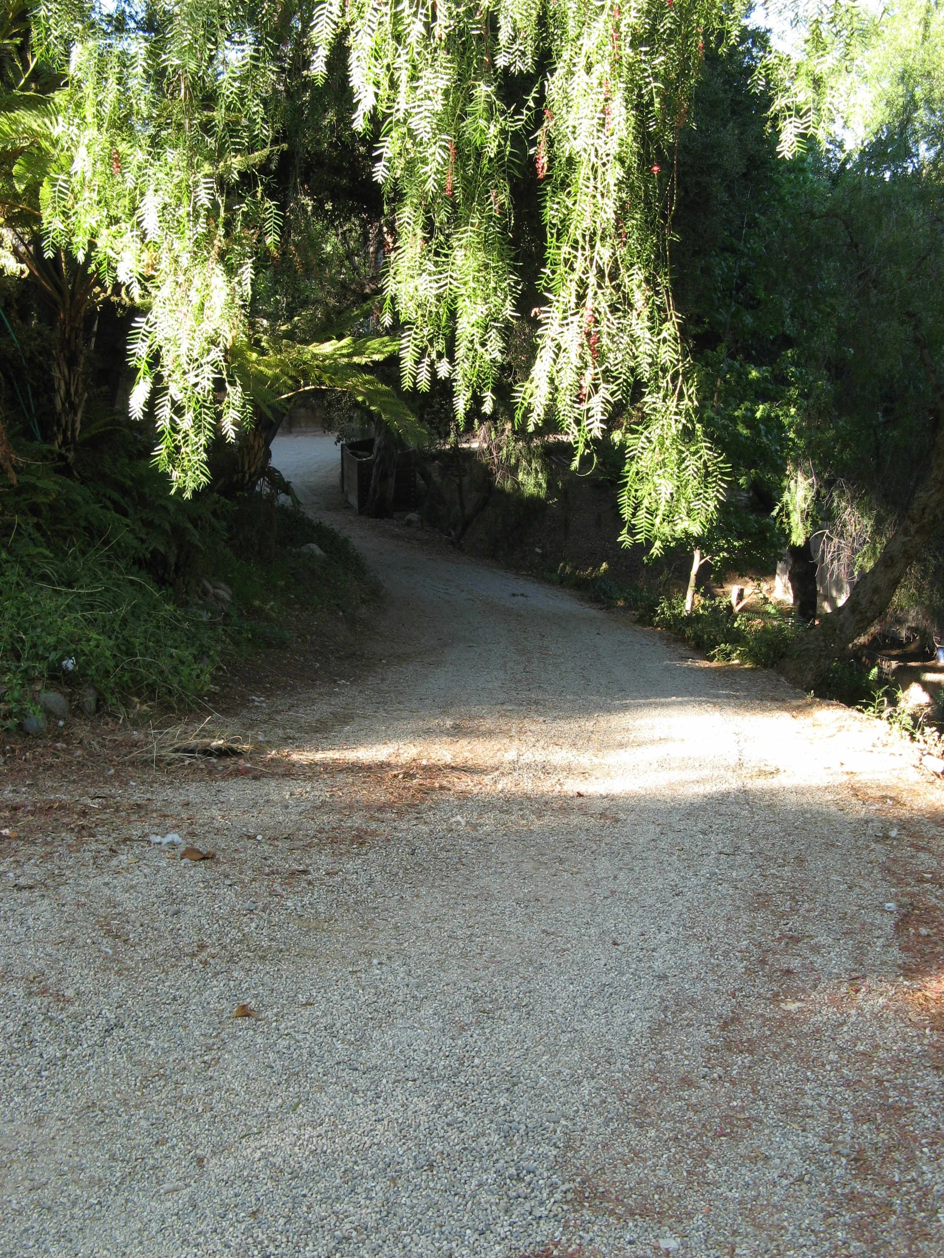 A gravel path curves under overhanging greenery toward a shaded area.