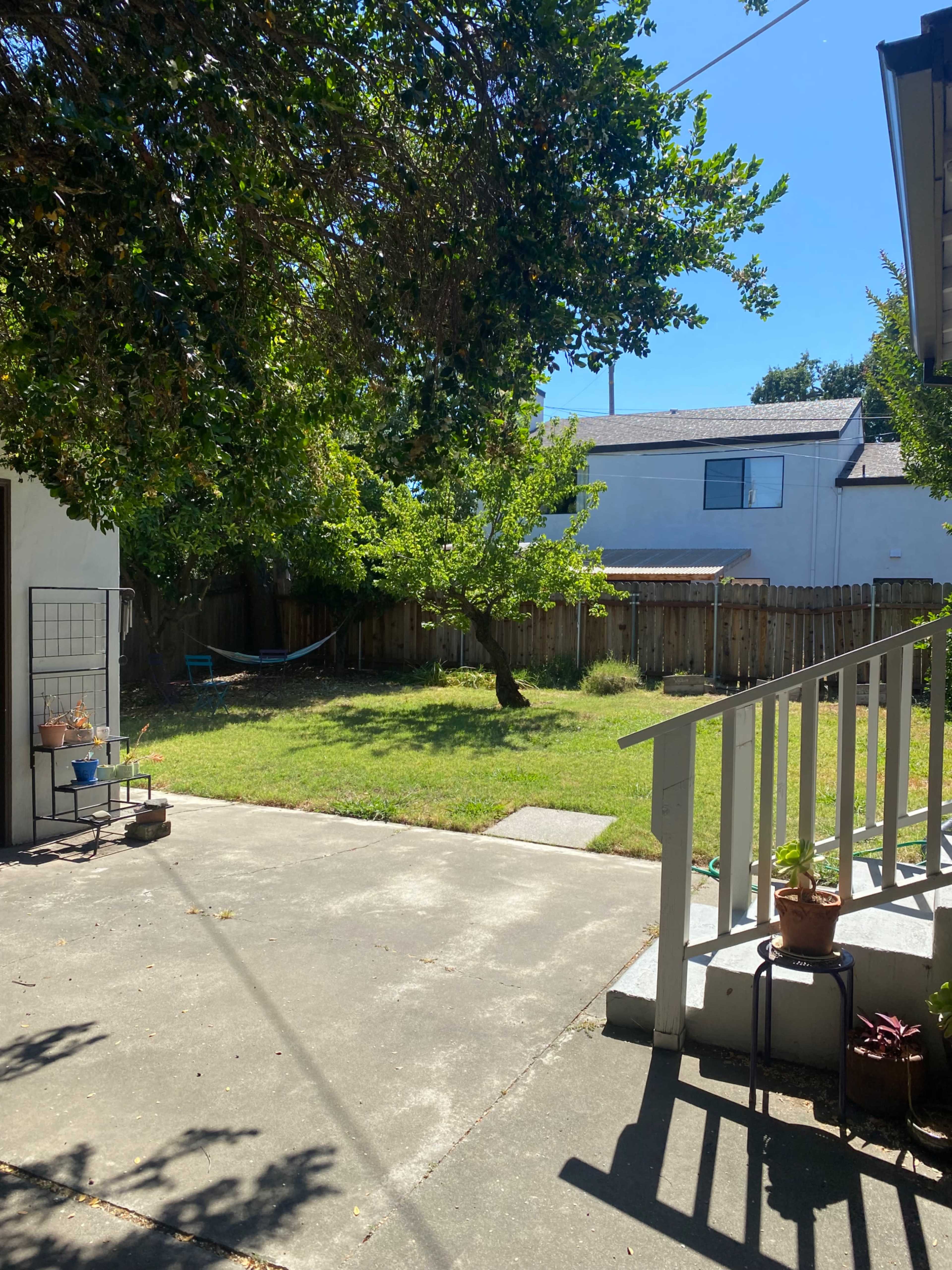 A backyard features a grassy area with a single tree and a hammock, bordered by a wooden fence and houses in the background.