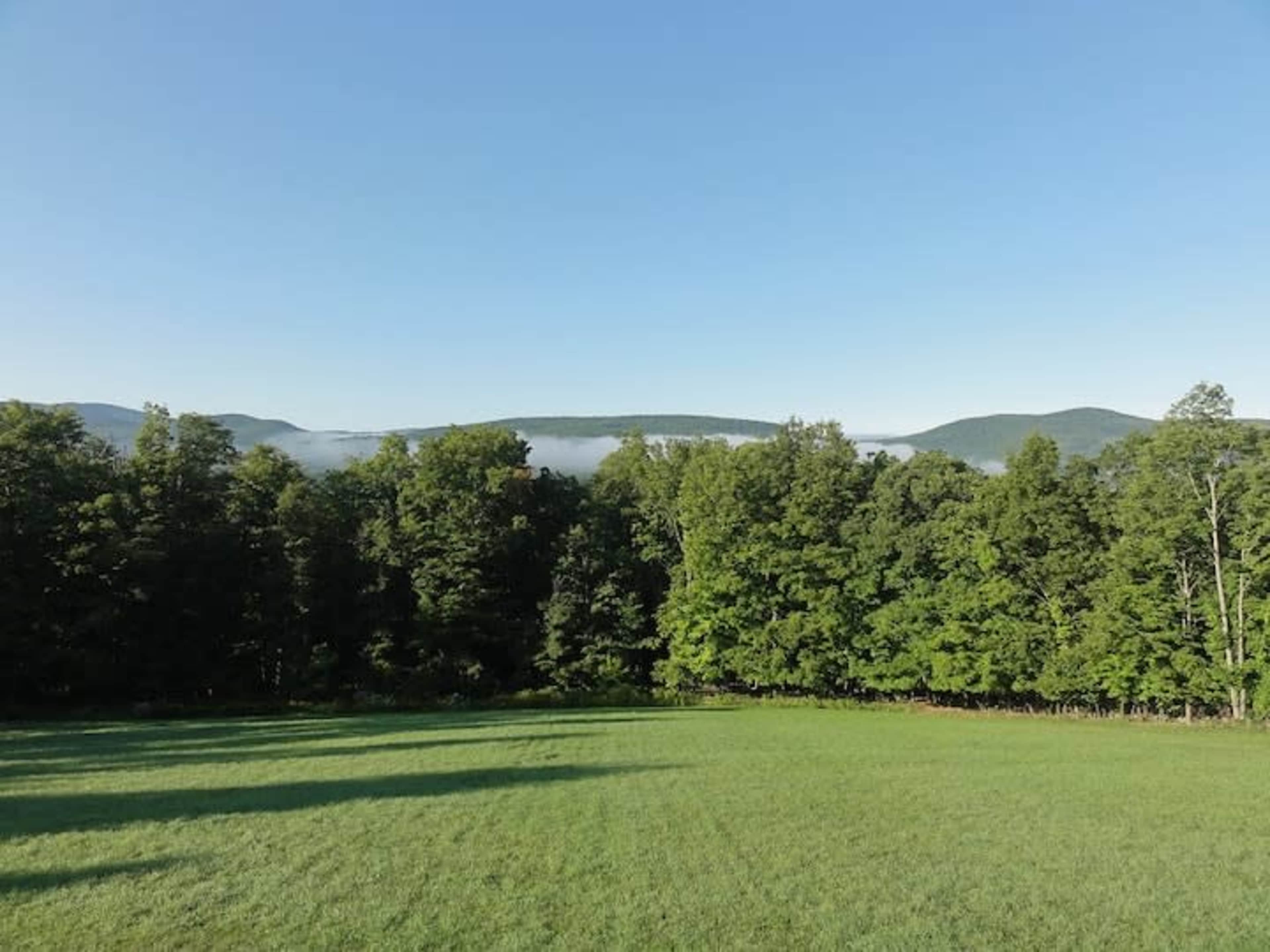 A clear view of rolling green hills and trees stretches under a bright blue sky, with a layer of fog resting in the valleys.