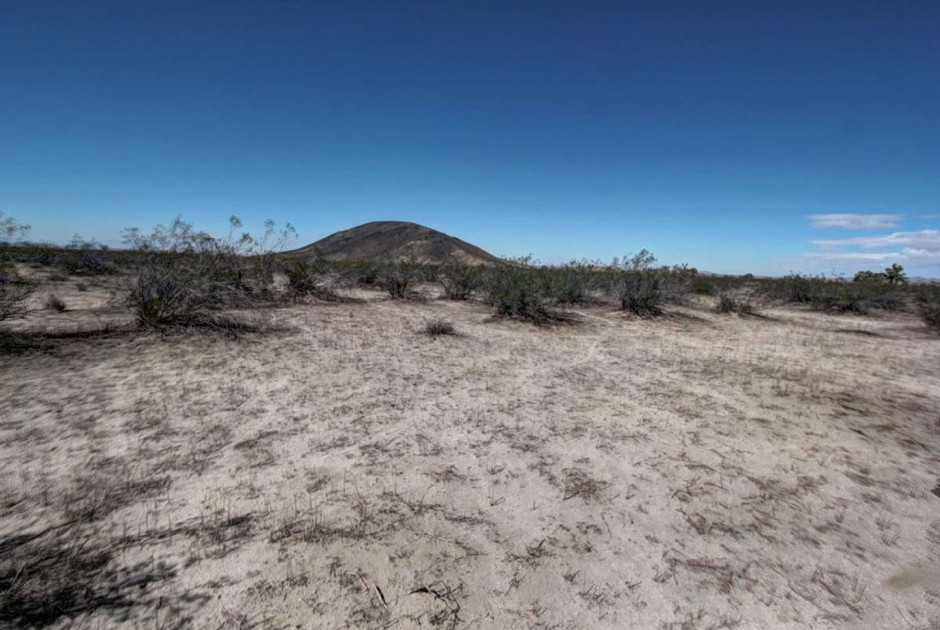 A sandy landscape features sparse vegetation with a small mountain in the background under a clear blue sky.