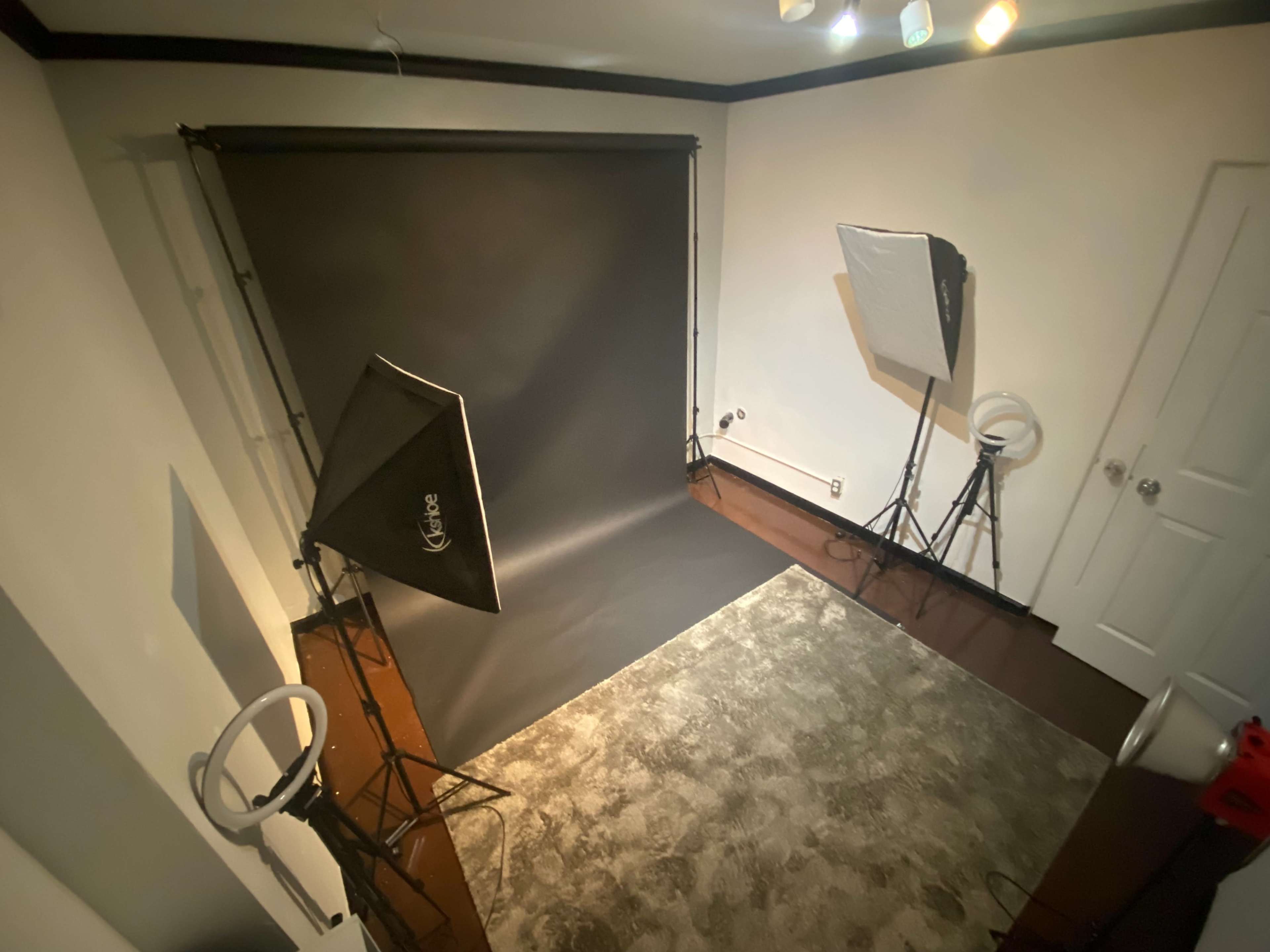 A photography studio setup with a dark backdrop, two softbox lights, and a ring light positioned around a patterned rug on the floor.
