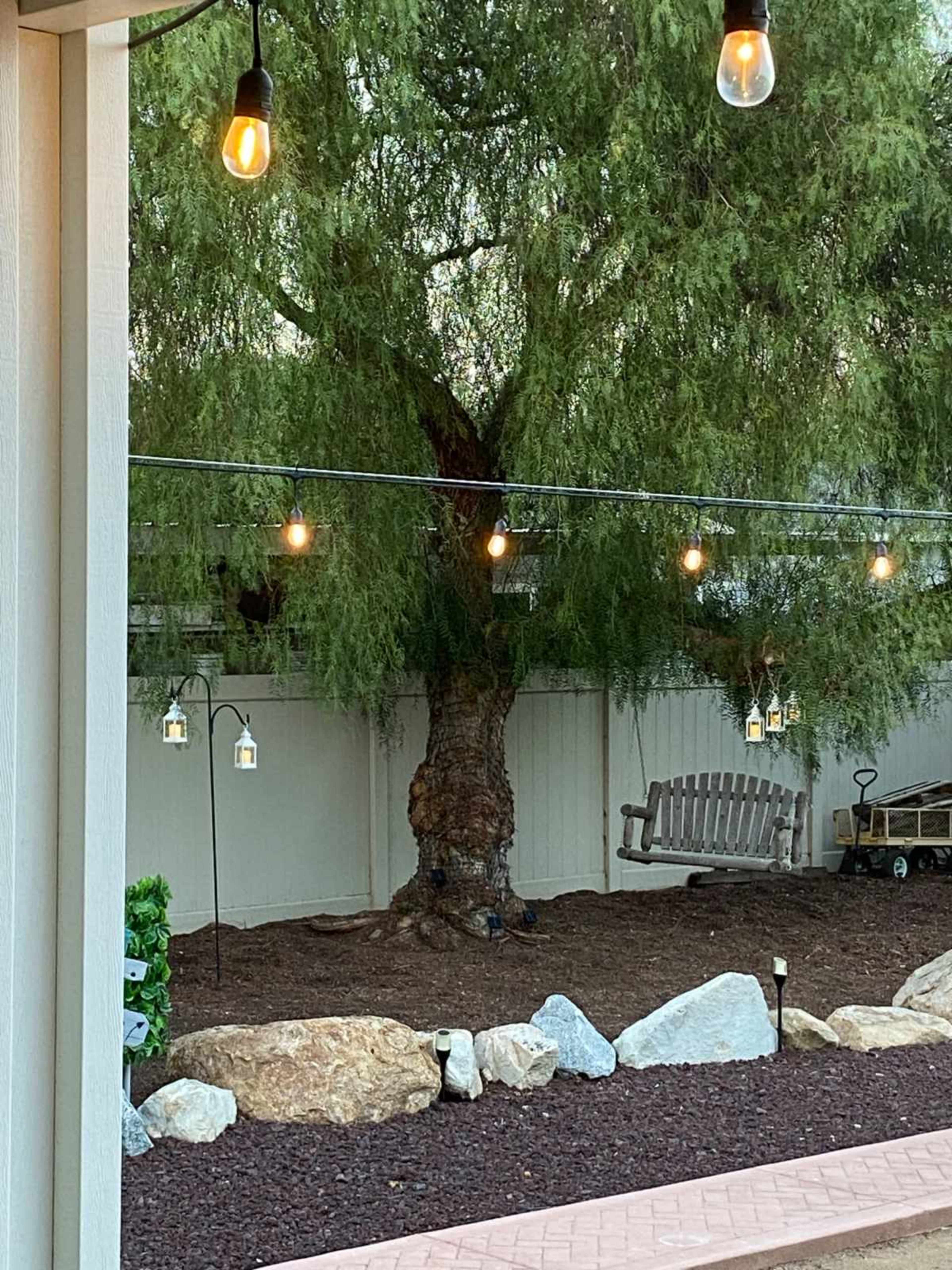 A large tree with hanging lights is illuminated in a landscaped backyard featuring decorative rocks and a swing.
