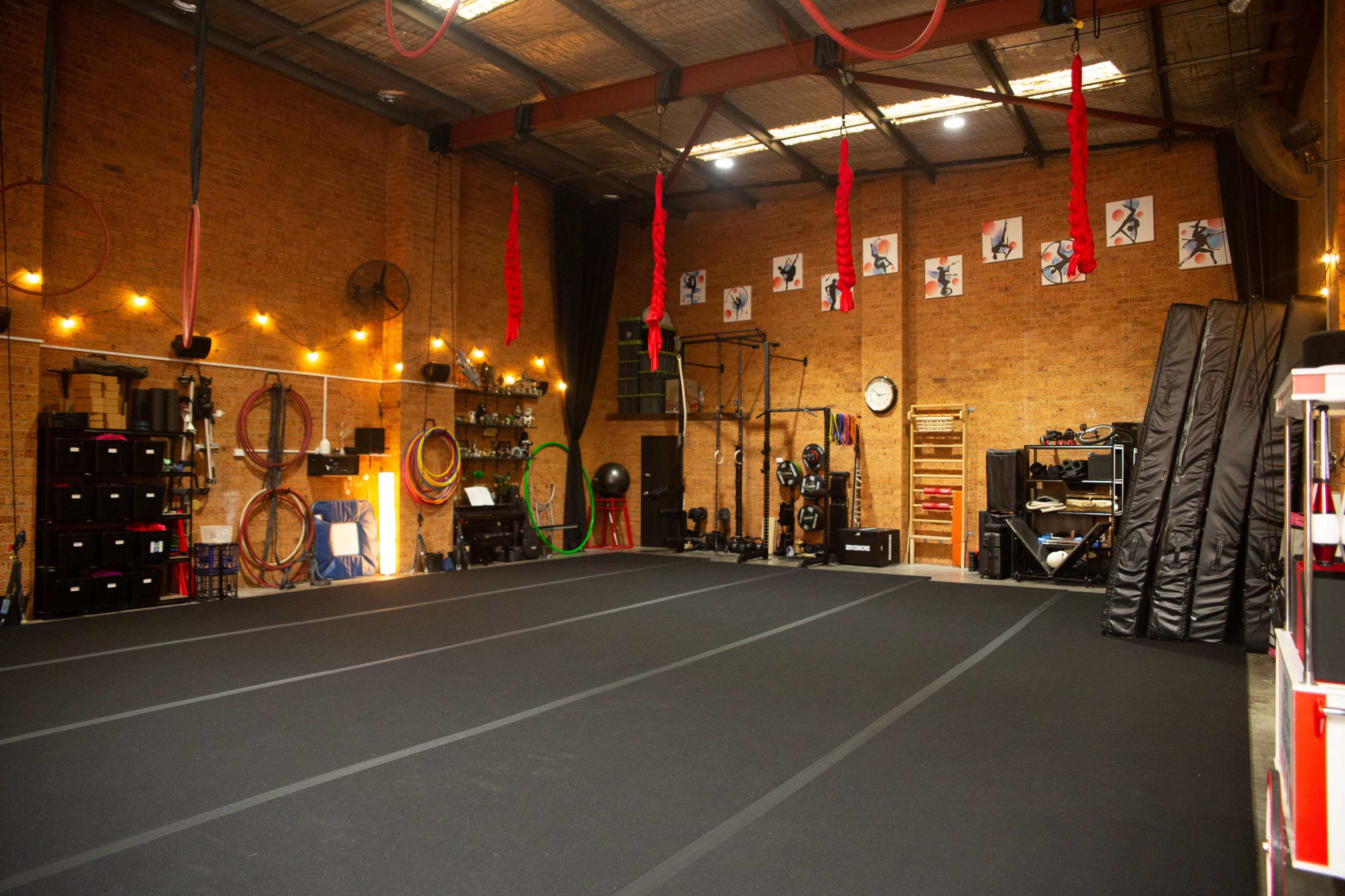 Large Open Plan Circus Aerials Studio Image in Botany, Botany, NSW