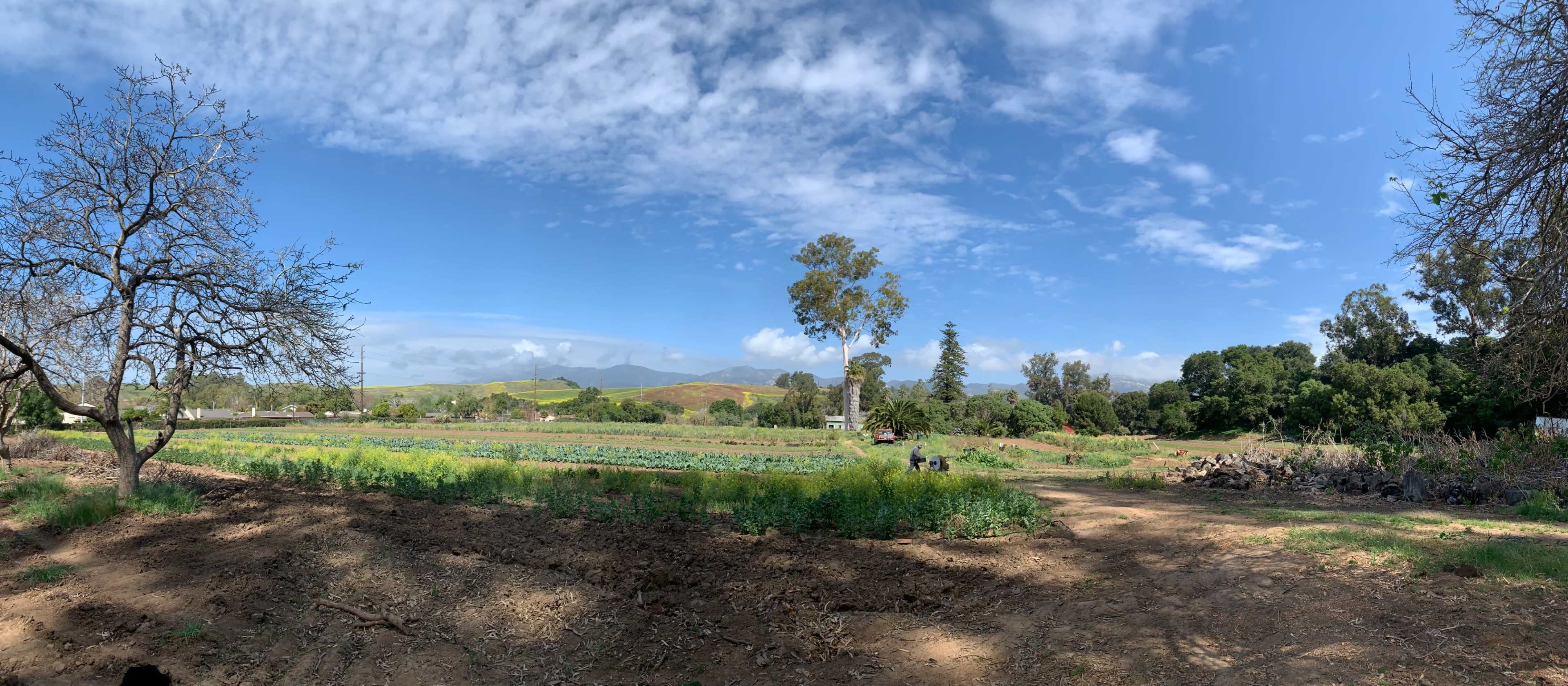 A panoramic view of a green field with trees and mountains under a partly cloudy sky.