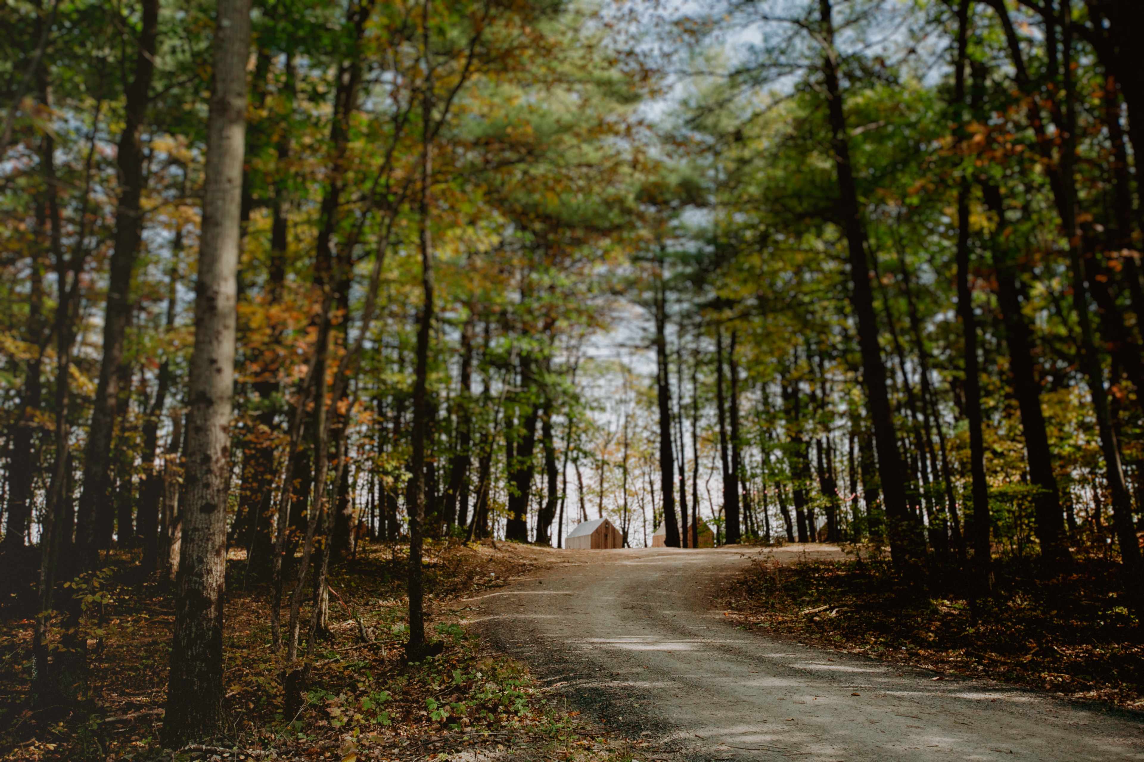 A gravel road winds through a wooded area, leading to a cabin in the distance.