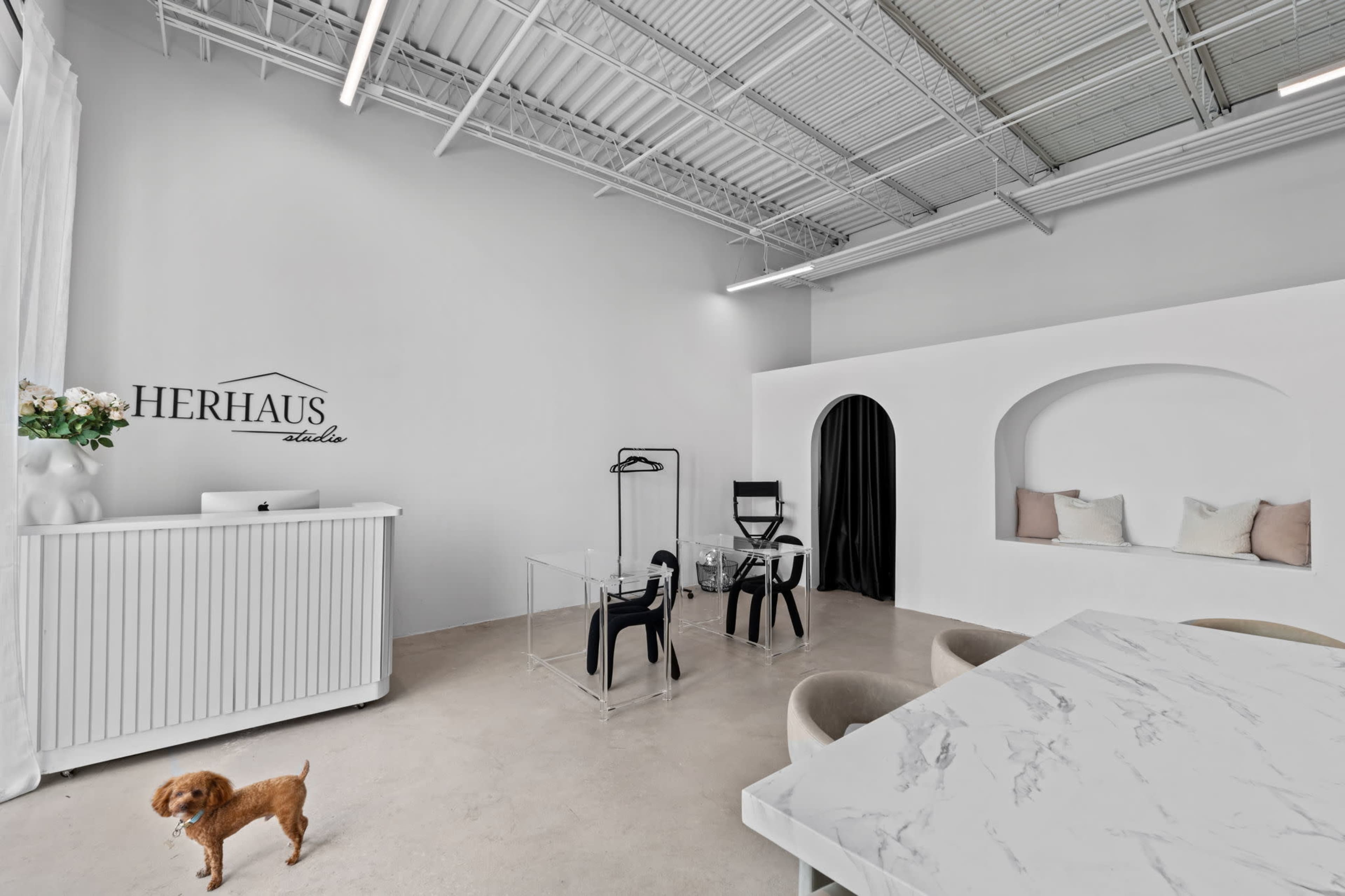 The image shows a modern, minimalistic interior of a studio space featuring a small dog in the foreground, a marble table, transparent chairs, and an arched nook with cushions along the wall.