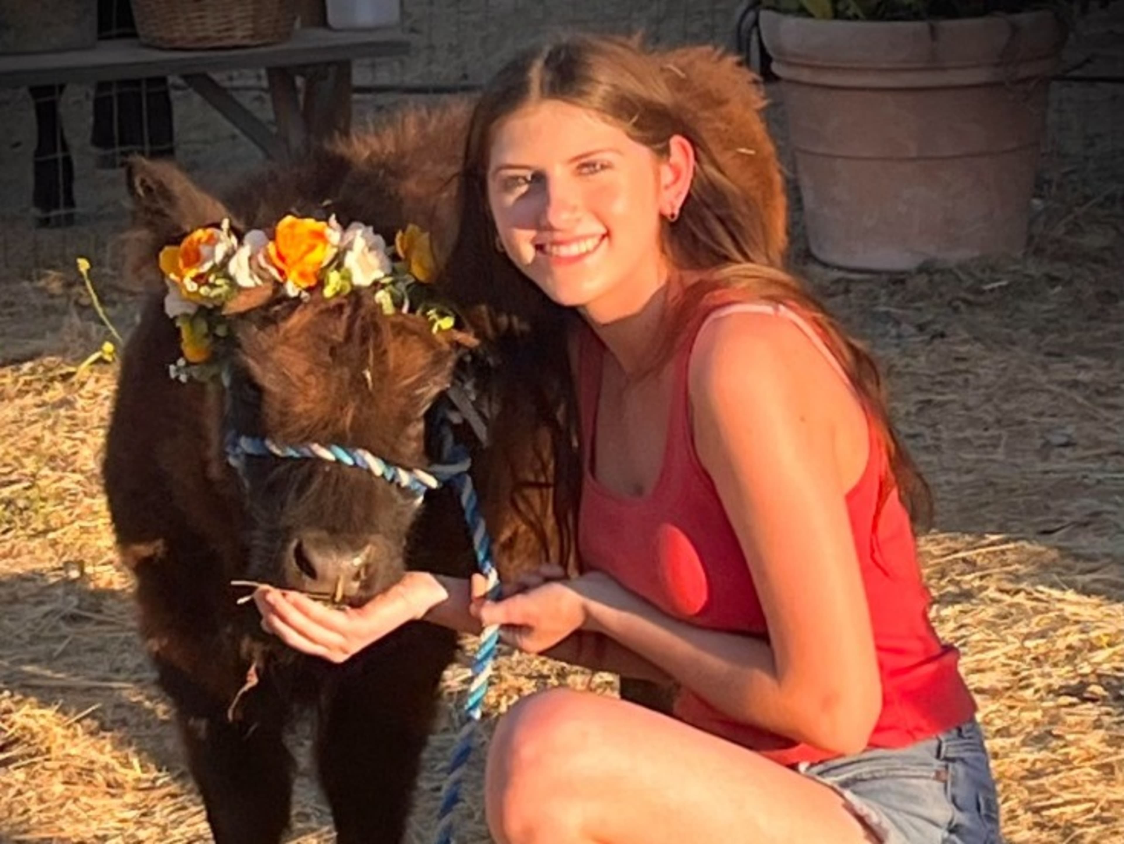 Farm Animal Encounter for up to 25