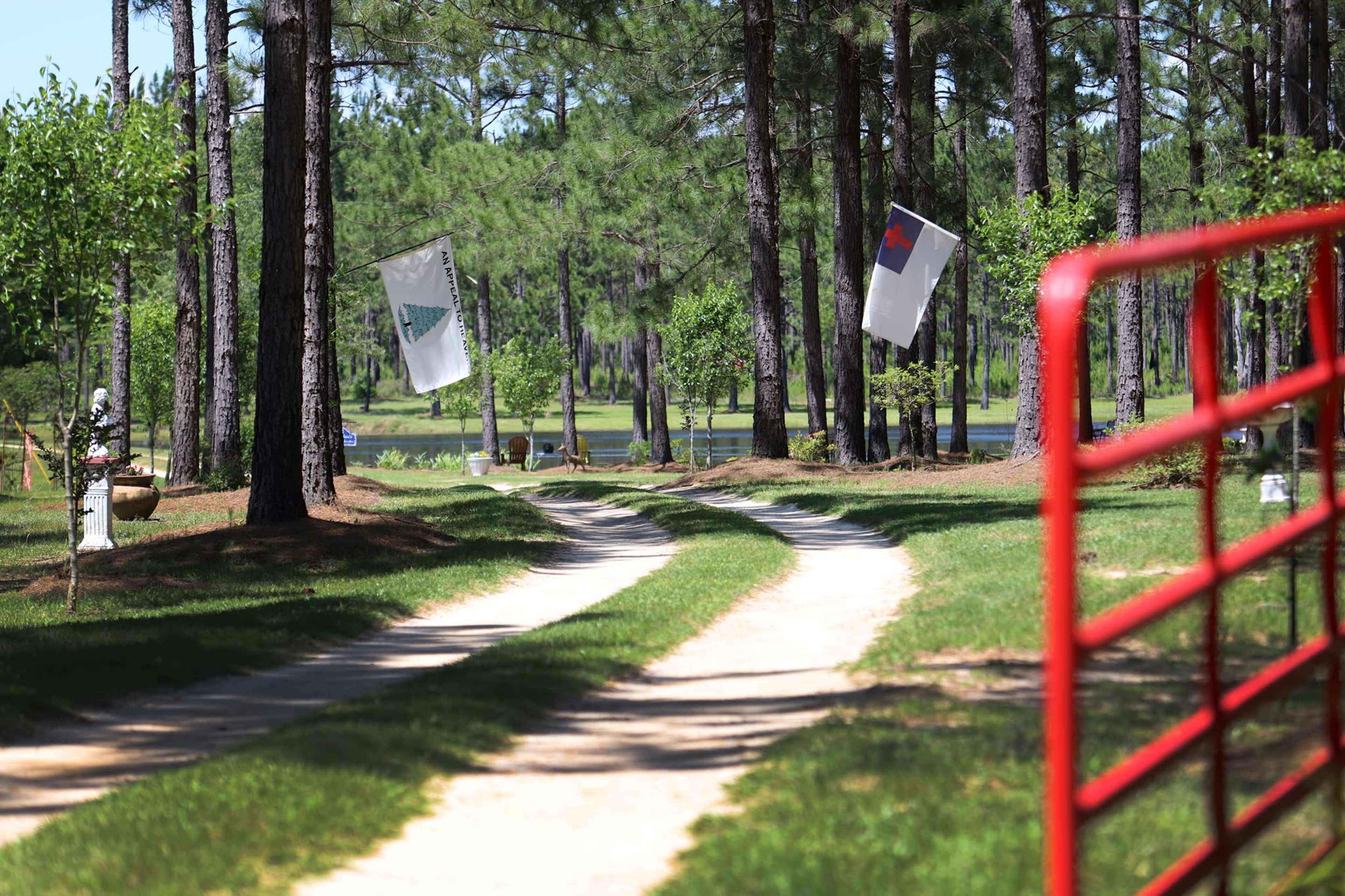 A dirt path lined with tall pine trees leads to a lake, with various flags hanging from the trees along the way.