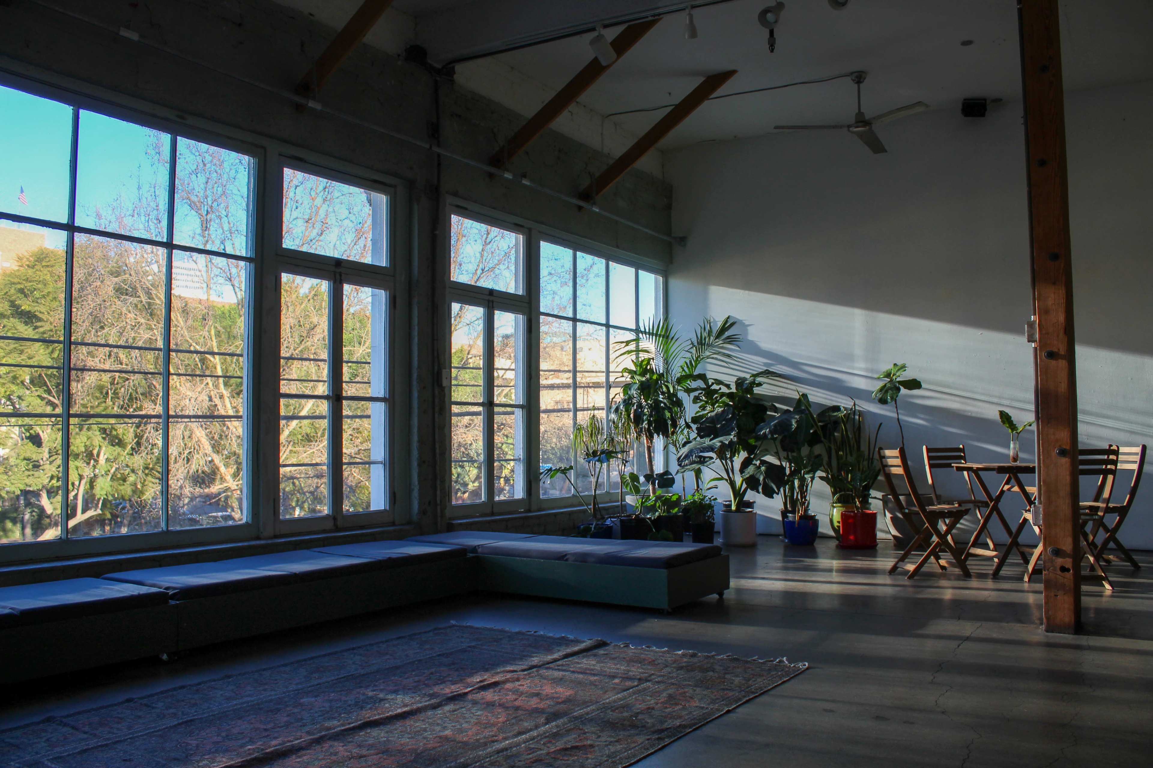 The image shows a spacious room with large windows allowing natural light, featuring plants, a rug, and a wooden dining table set with chairs.