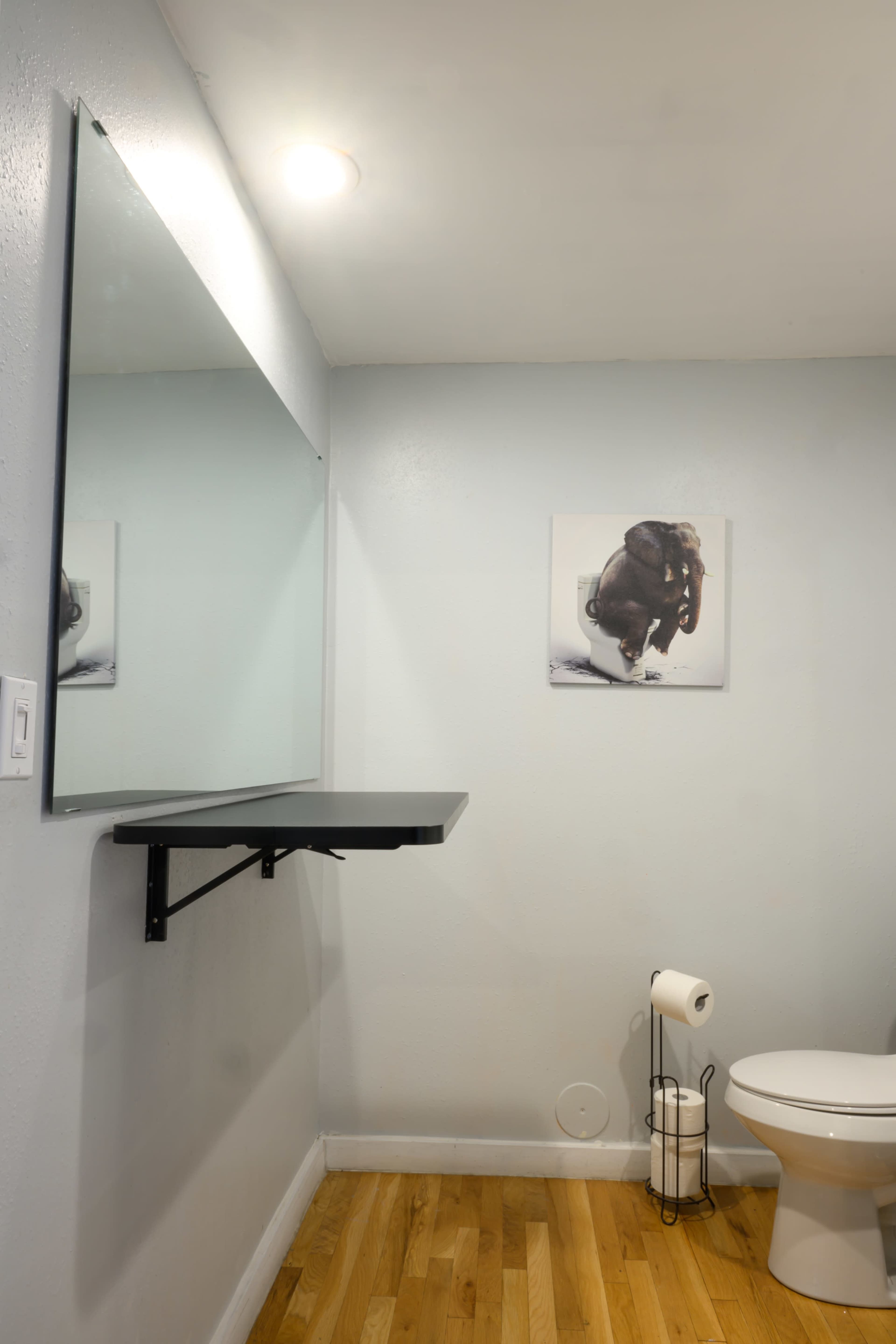 The image shows a bathroom with a wall-mounted mirror, a shelf beneath it, a framed picture of an animal on the wall, and a toilet with a roll of toilet paper.