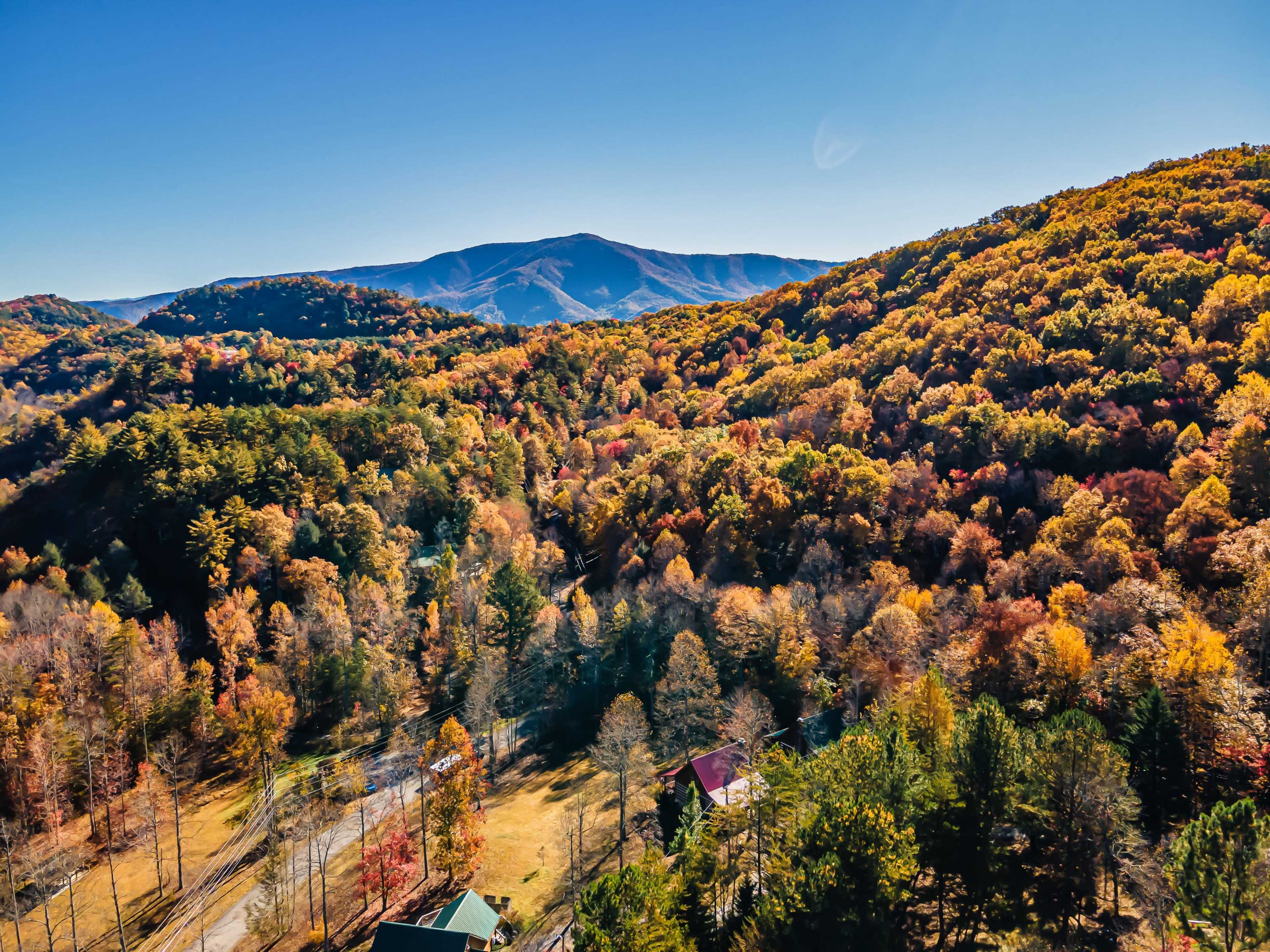 Aerial view of a colorful autumn landscape with mountains in the background and a mix of green and orange trees.