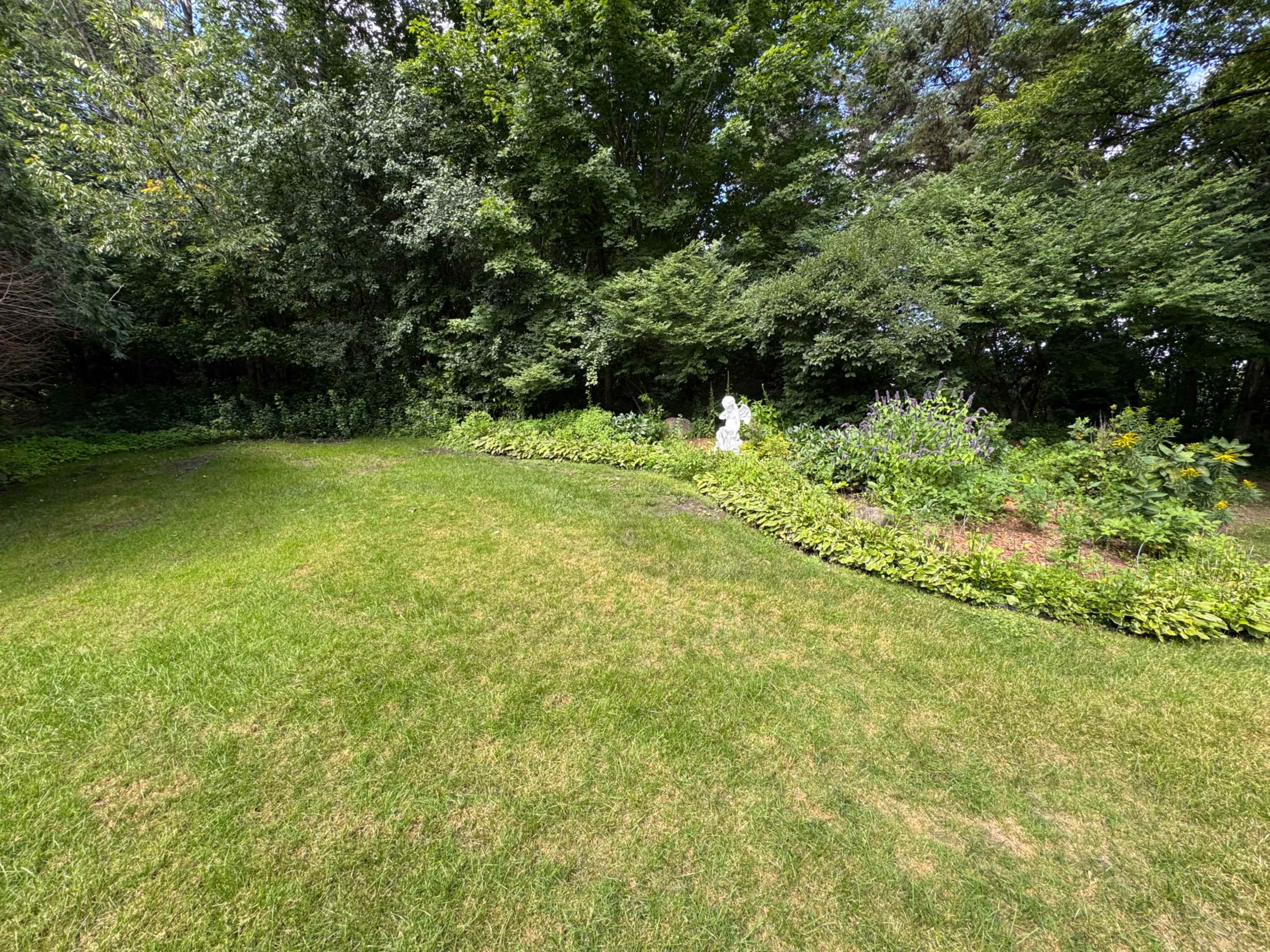 The image shows a grassy area bordered by a garden filled with various plants and a statue in the background.