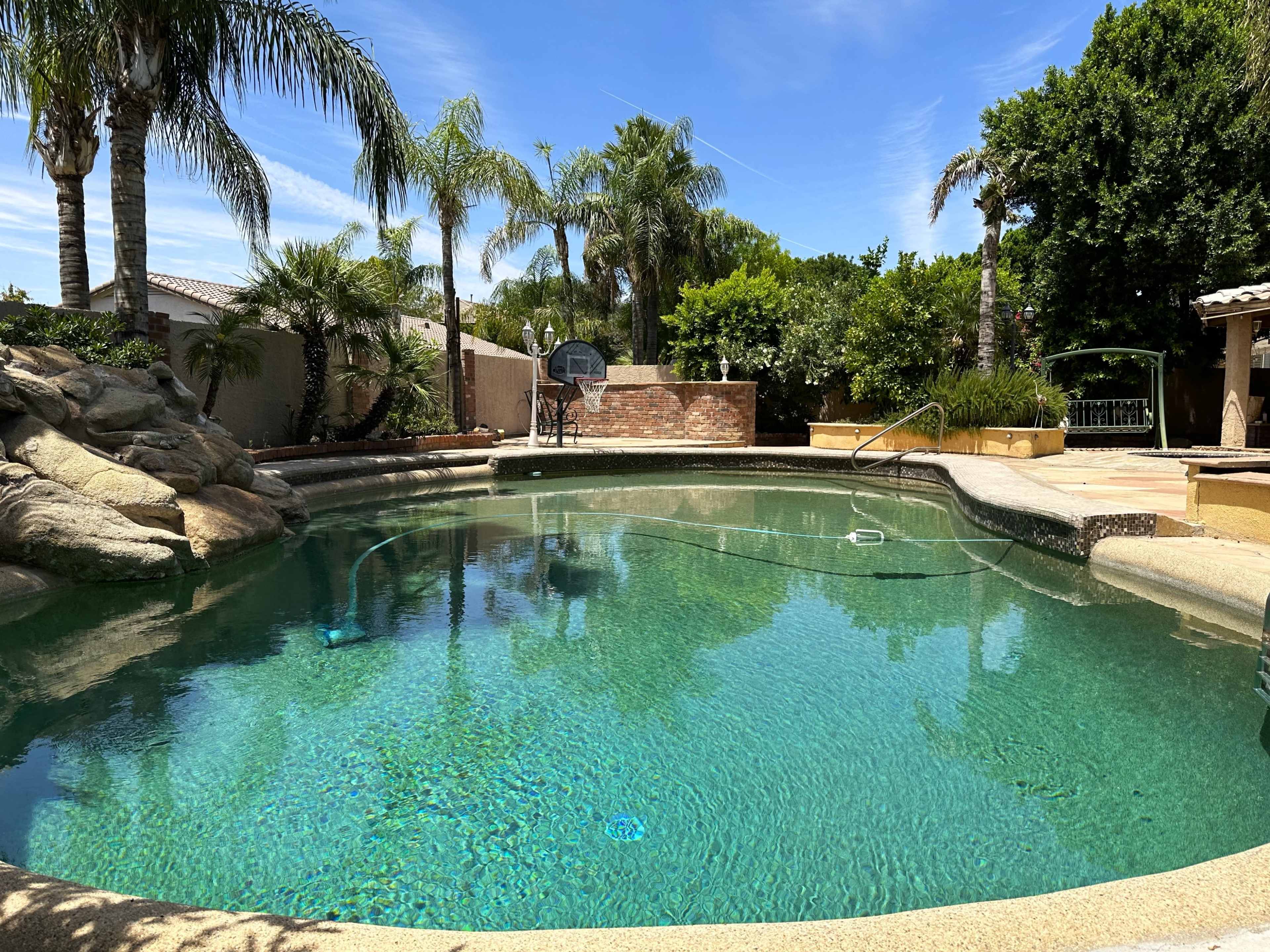 A clear swimming pool surrounded by palm trees and a landscaped backyard.