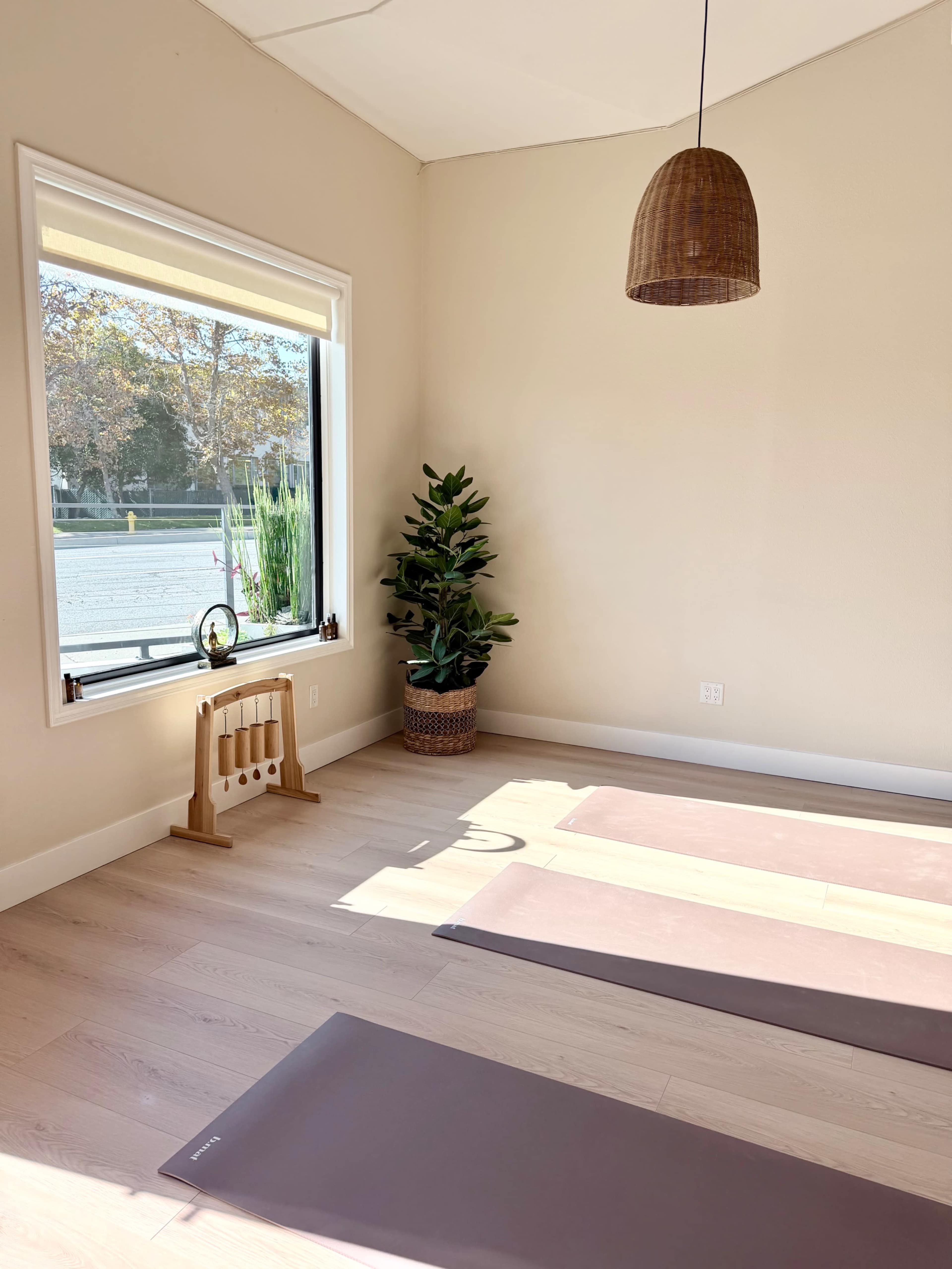 The image shows a bright, minimalistic yoga studio with two yoga mats on the floor and a potted plant near a large window.