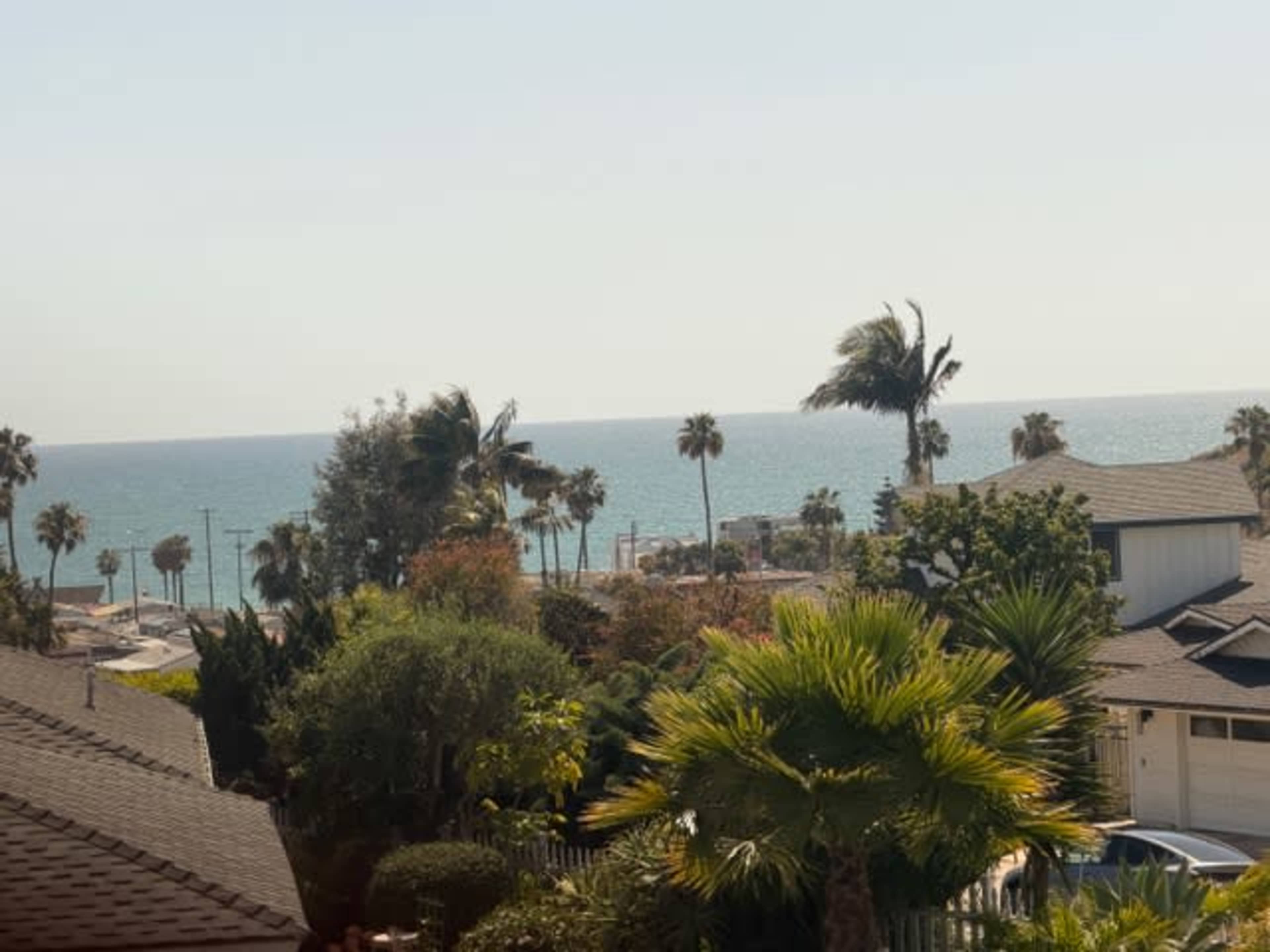 The image shows a coastal view with palm trees, houses, and the ocean in the background.