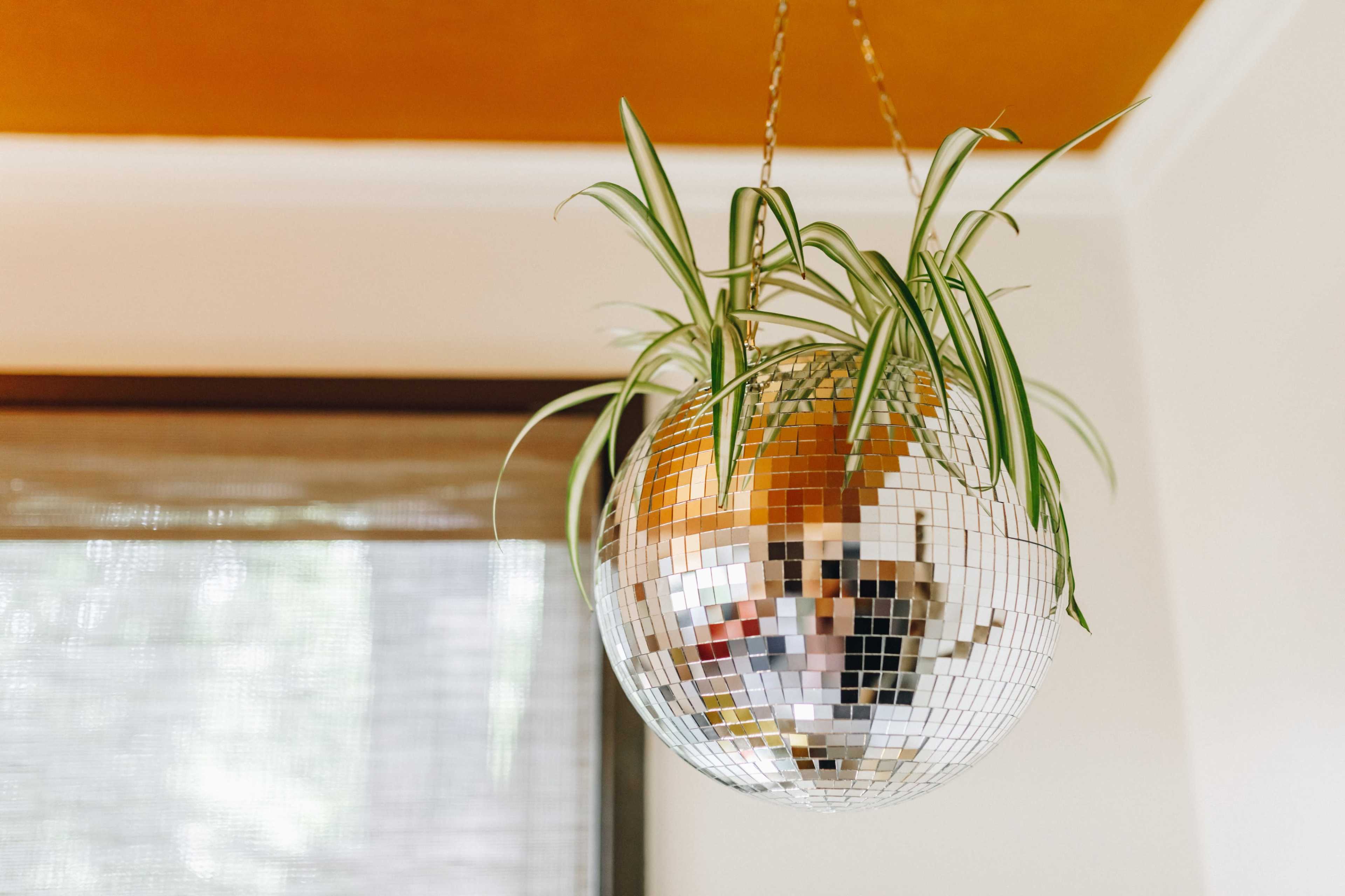 A mirrored disco ball is suspended from the ceiling, with a potted plant hanging from it.