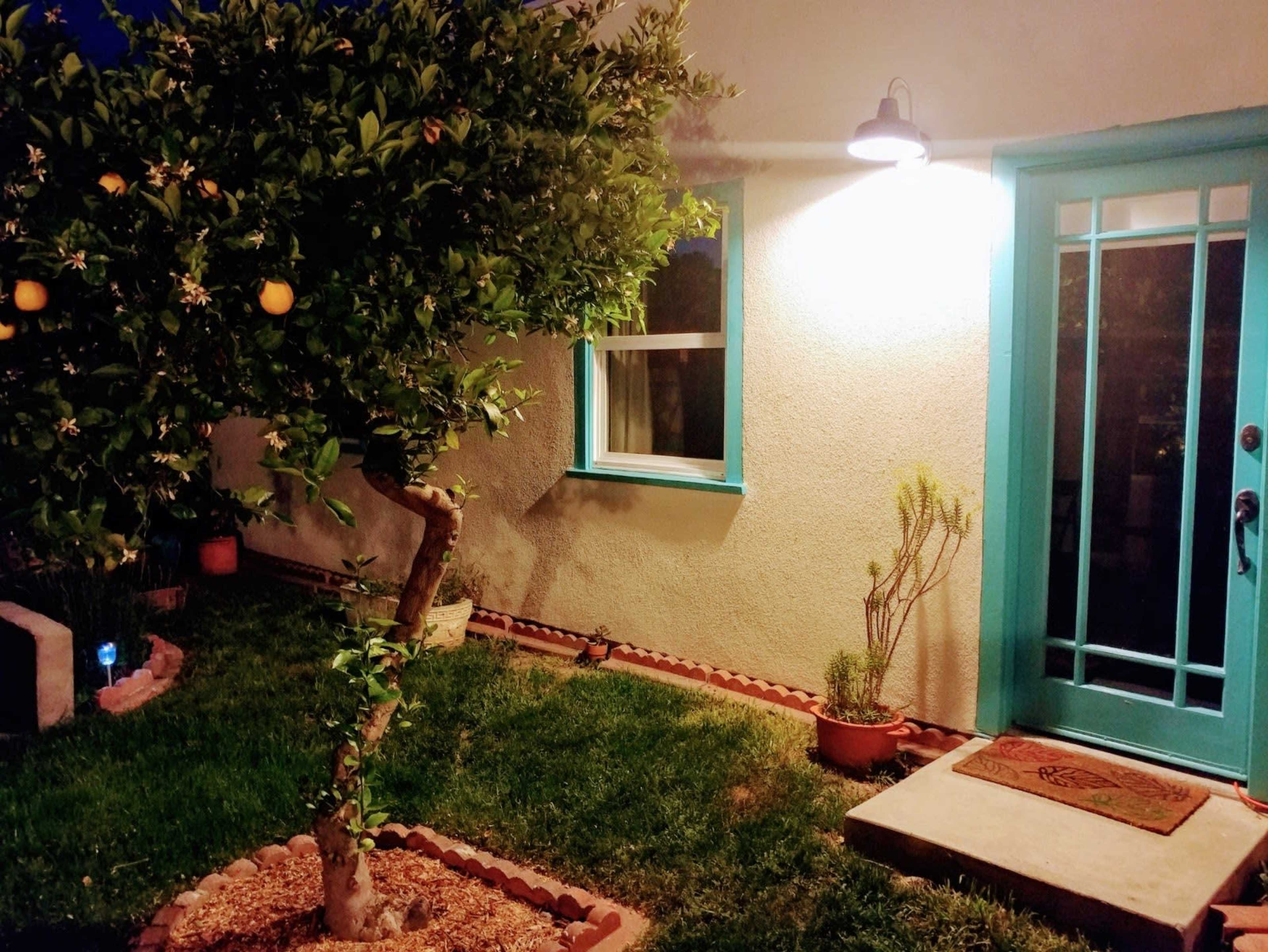 A small garden features an orange tree beside a brightly painted turquoise door and a light fixture illuminating the entrance.