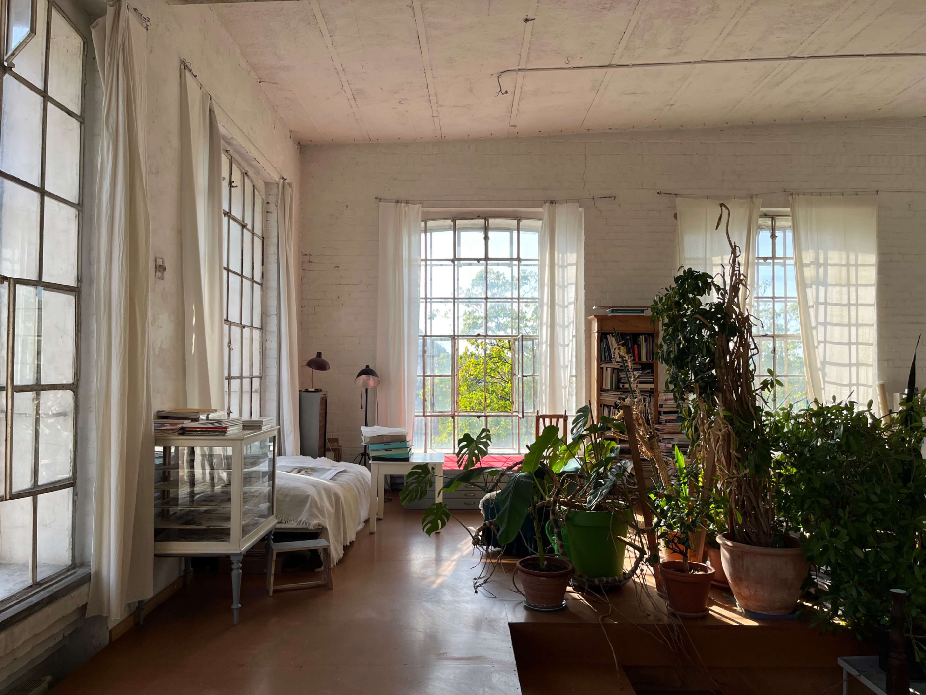 The image shows a bright, spacious room with large windows, white walls, and various plants in pots, along with a bed and a bookshelf.