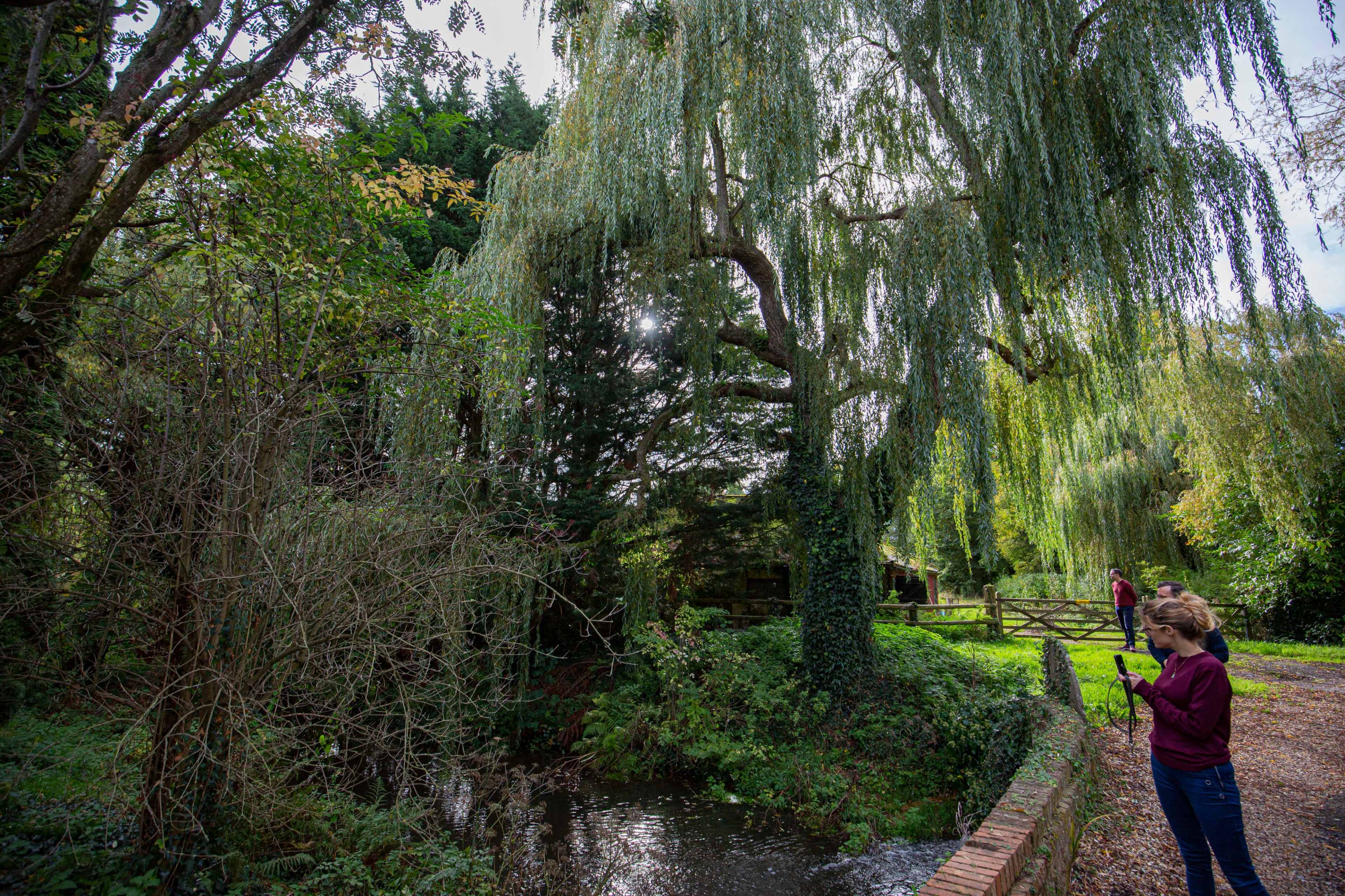 A woman stands by a stream while another person is seen in the background near a wooden fence, surrounded by lush trees.