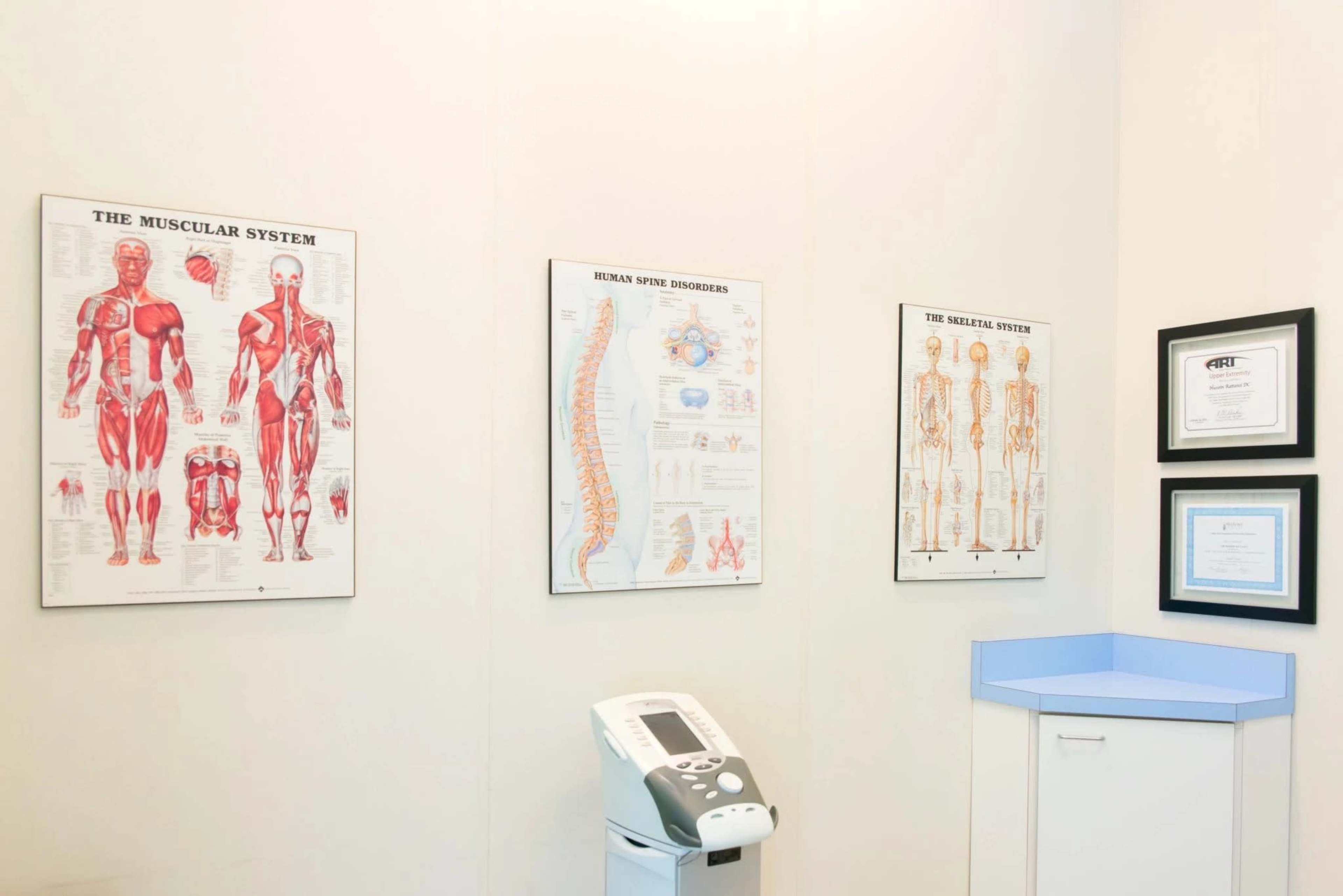 A wall in a medical office featuring anatomical charts of the muscular system, human spine disorders, and skeletal system, alongside framed certificates.