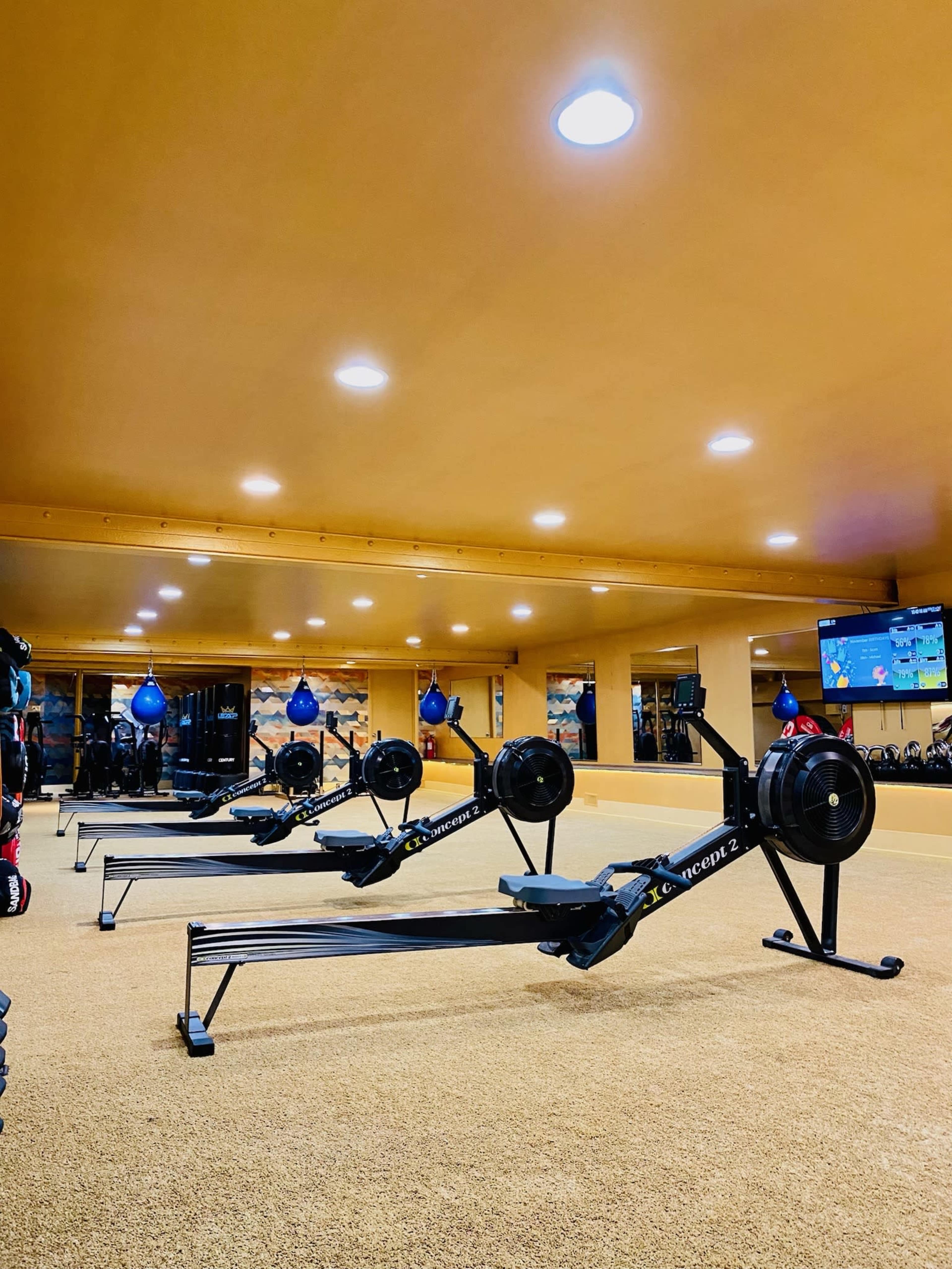 Premier Fitness/Dance/Boxing/ Massage Studio Image in Lake View, Chicago, IL