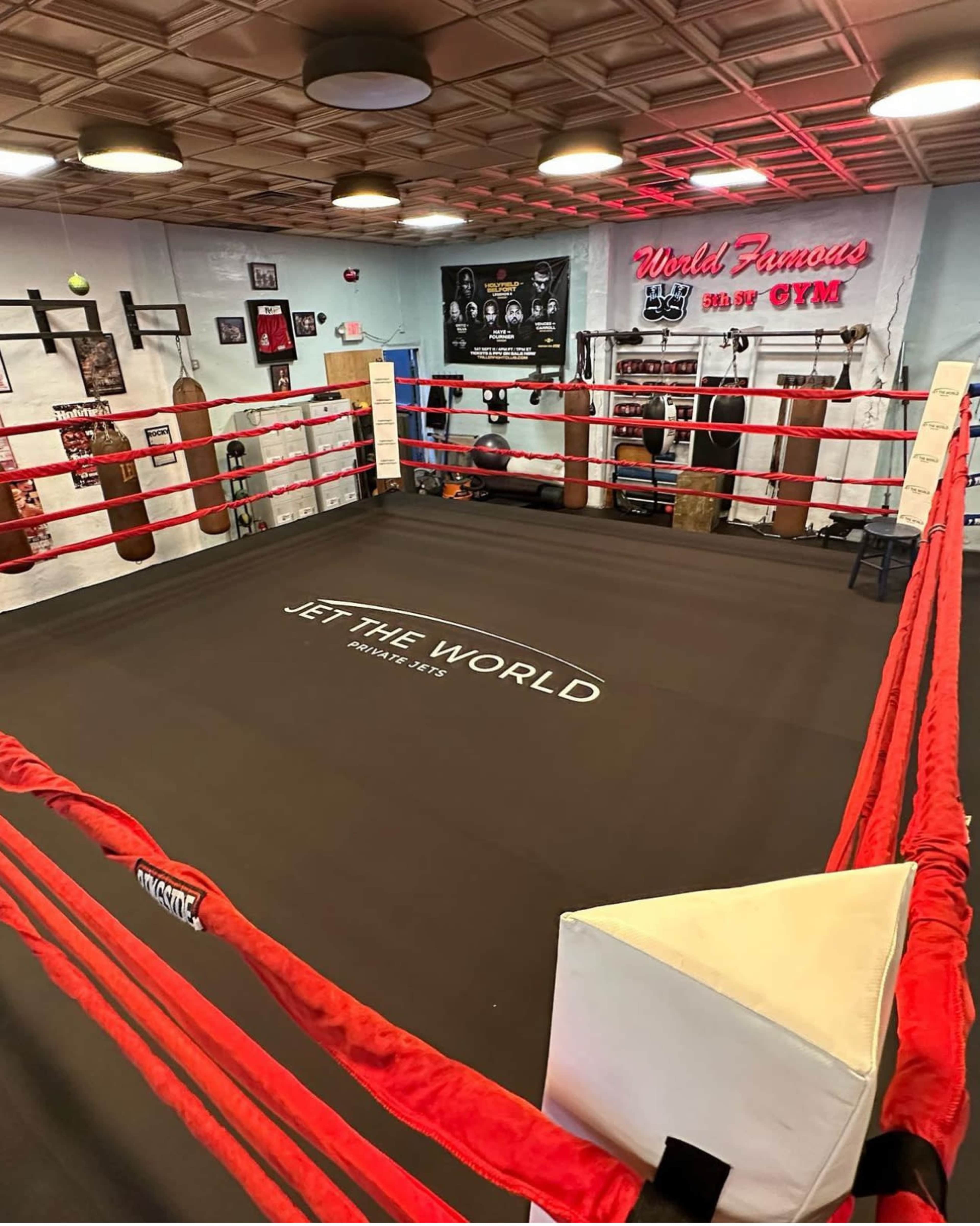 A boxing ring in a gym, surrounded by training equipment and posters on the walls.