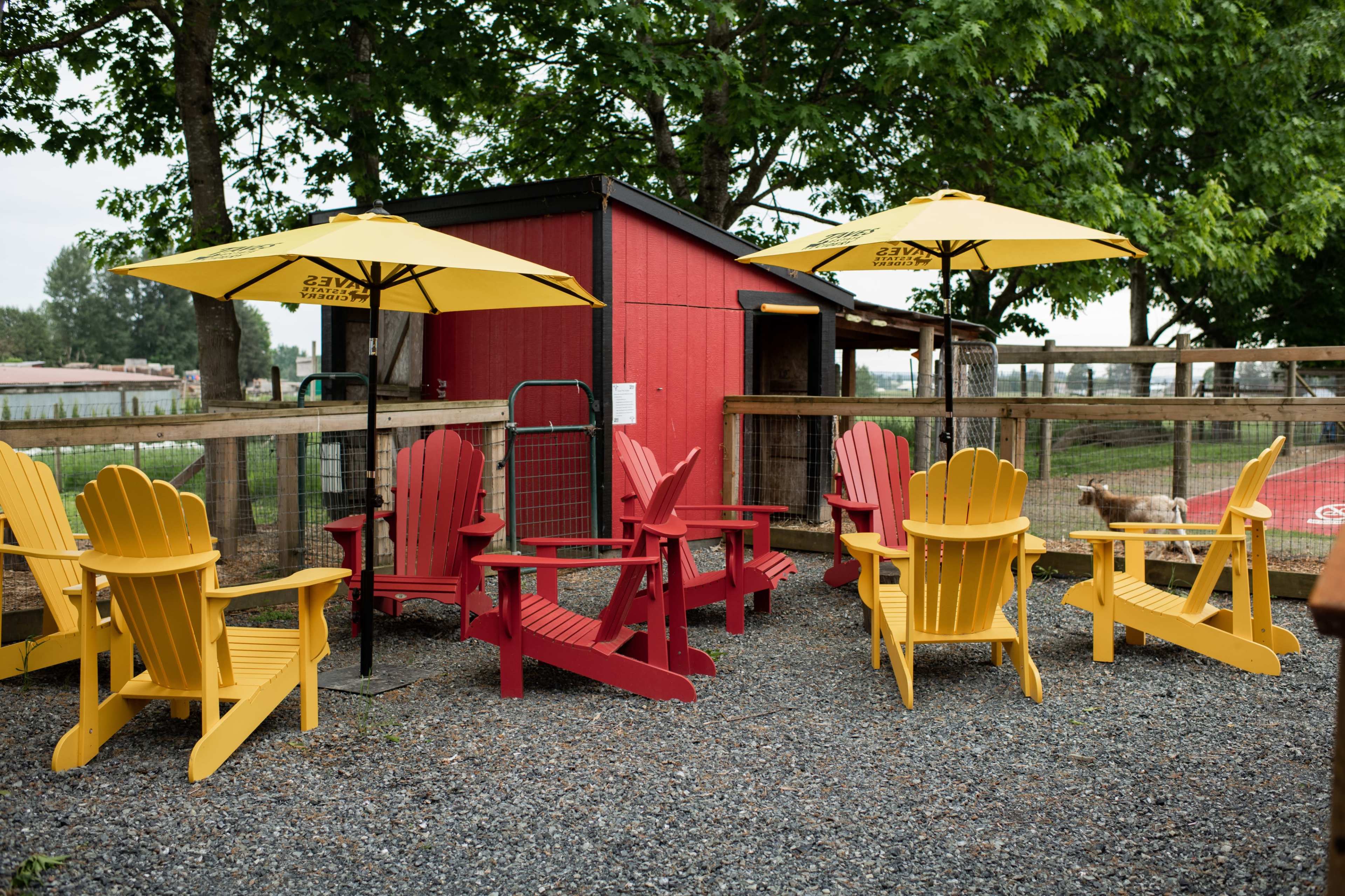 The scene features several colorful adirondack chairs in red and yellow arranged around a small outdoor area with two yellow umbrellas, near a fenced structure.